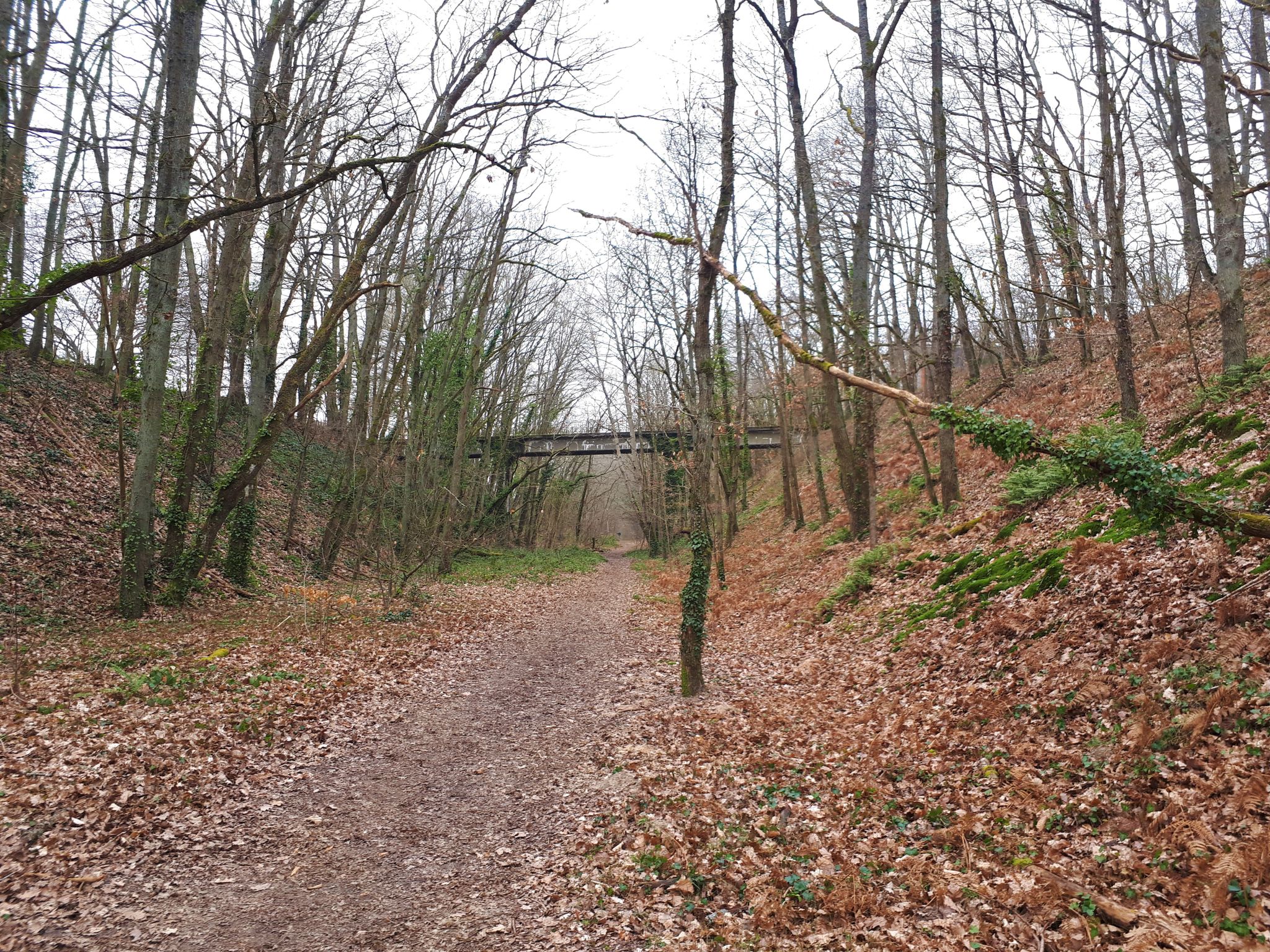 Ancienne voie Bertin / voie Gallardon