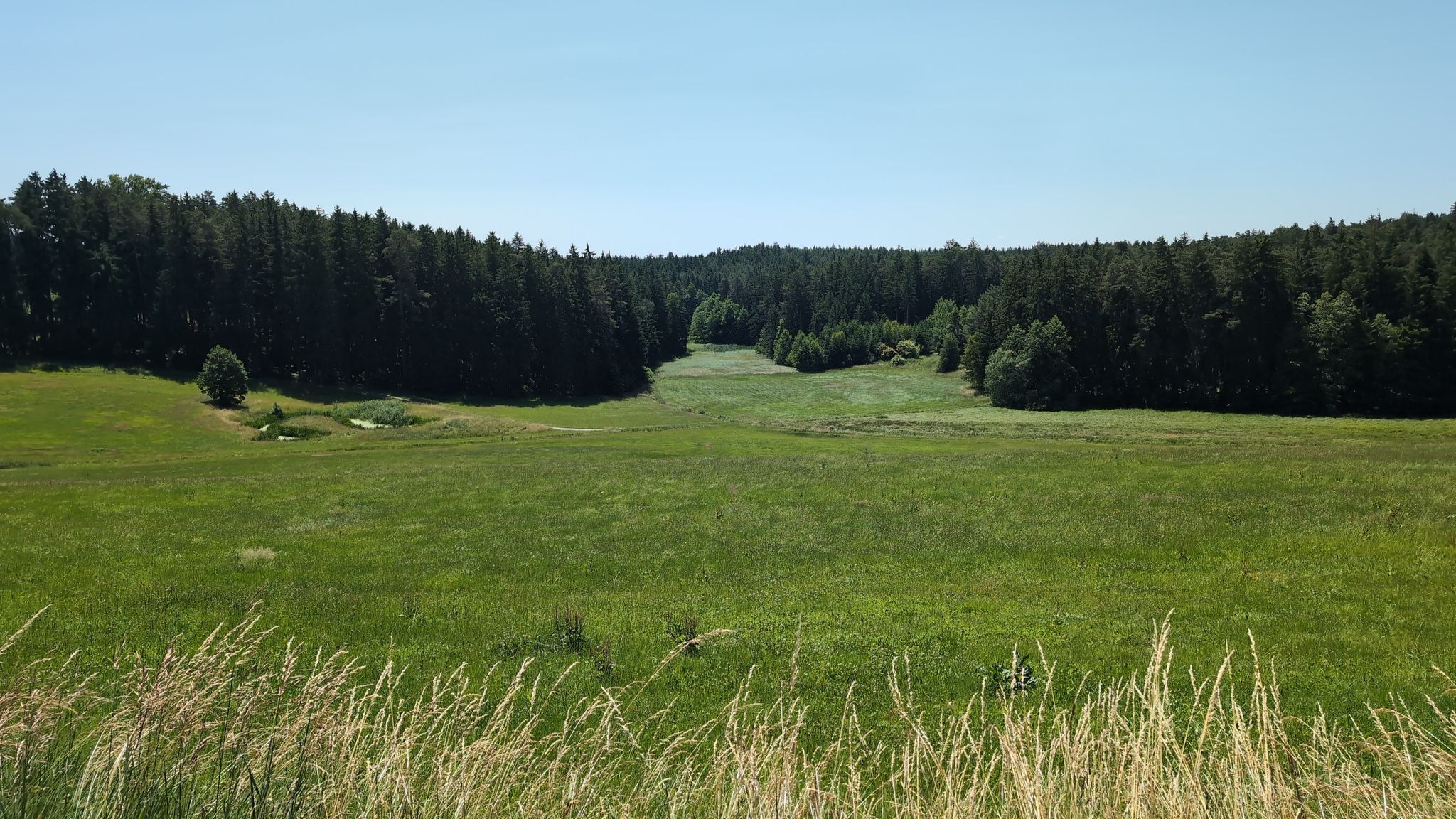 zwischen Oberwindstetten und Wolfertsbronn
