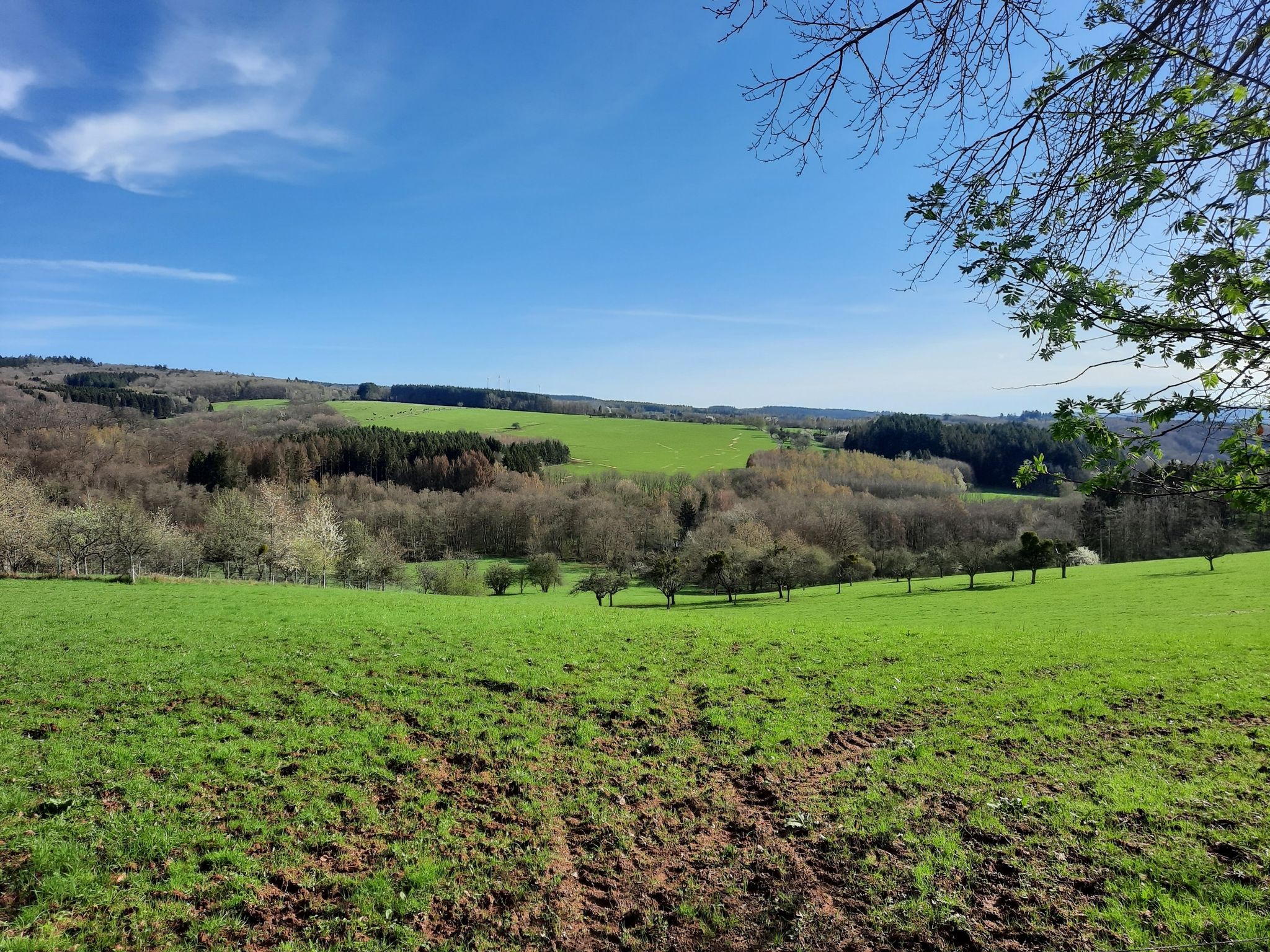1.Aussicht