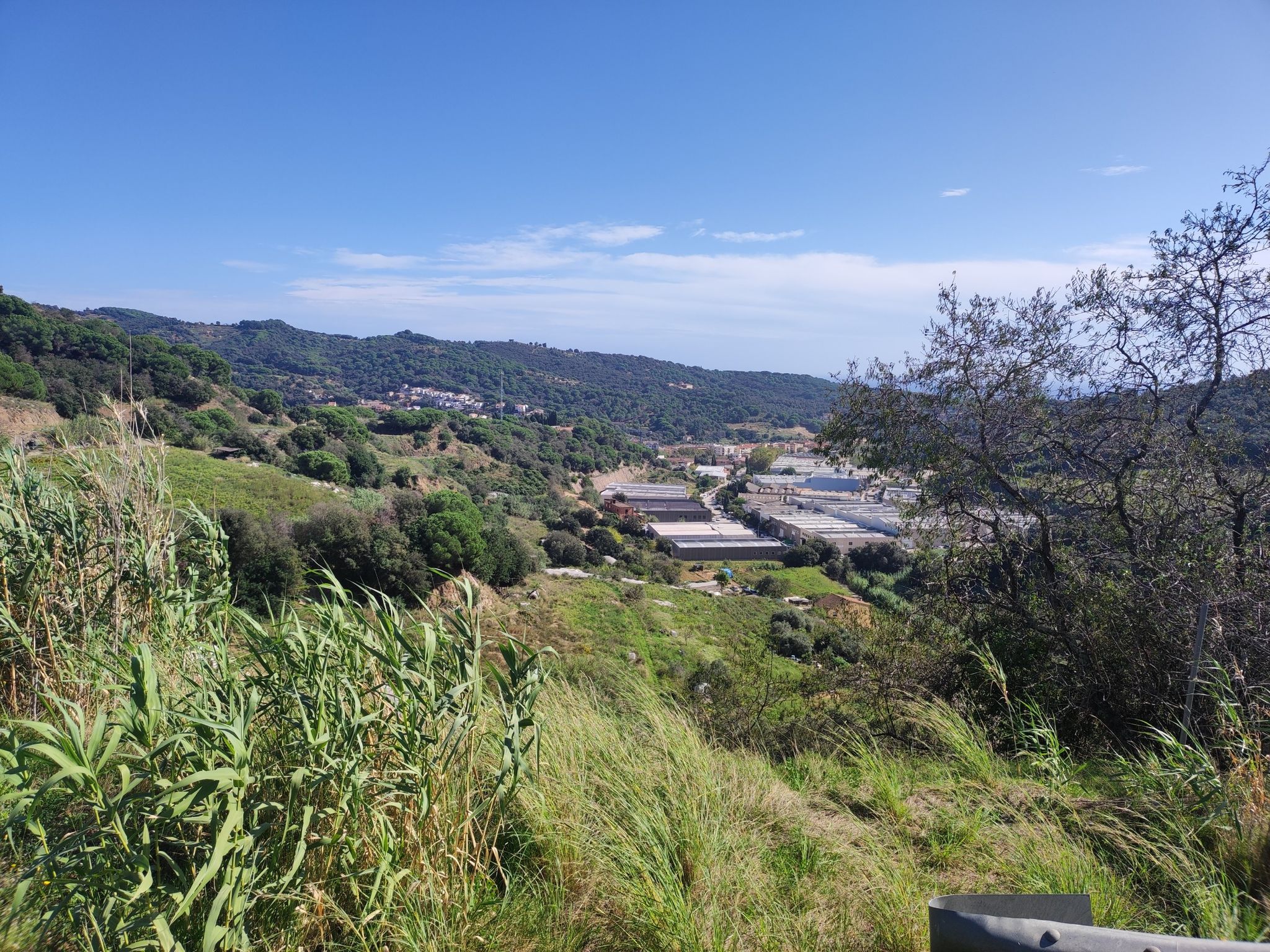 Hügeliges Hinterland