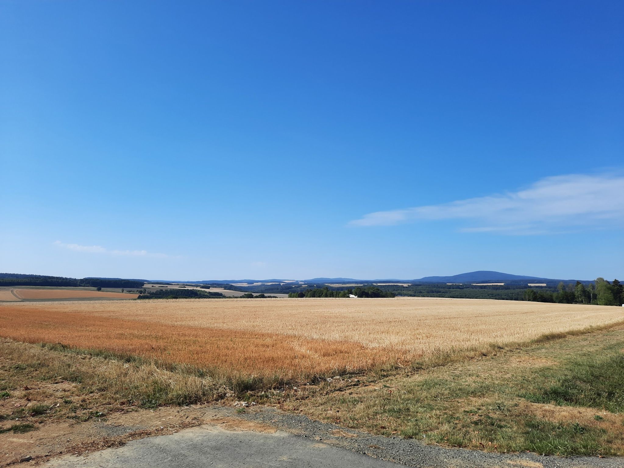 ...und zurück zum Erbeskopf