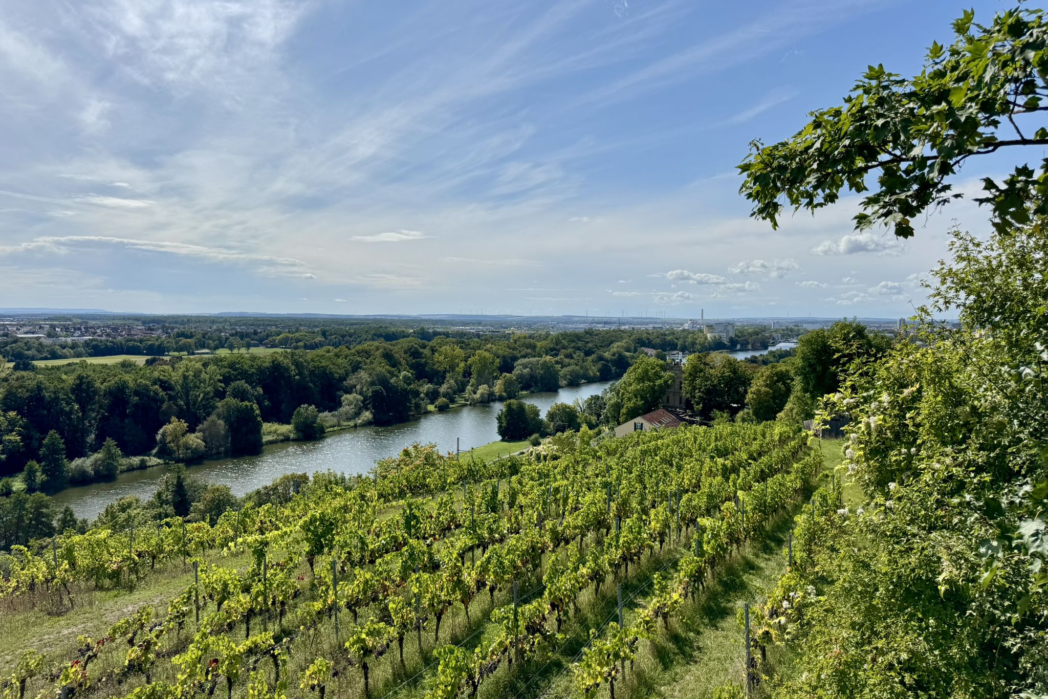 Blick Richtung Schweinfurt