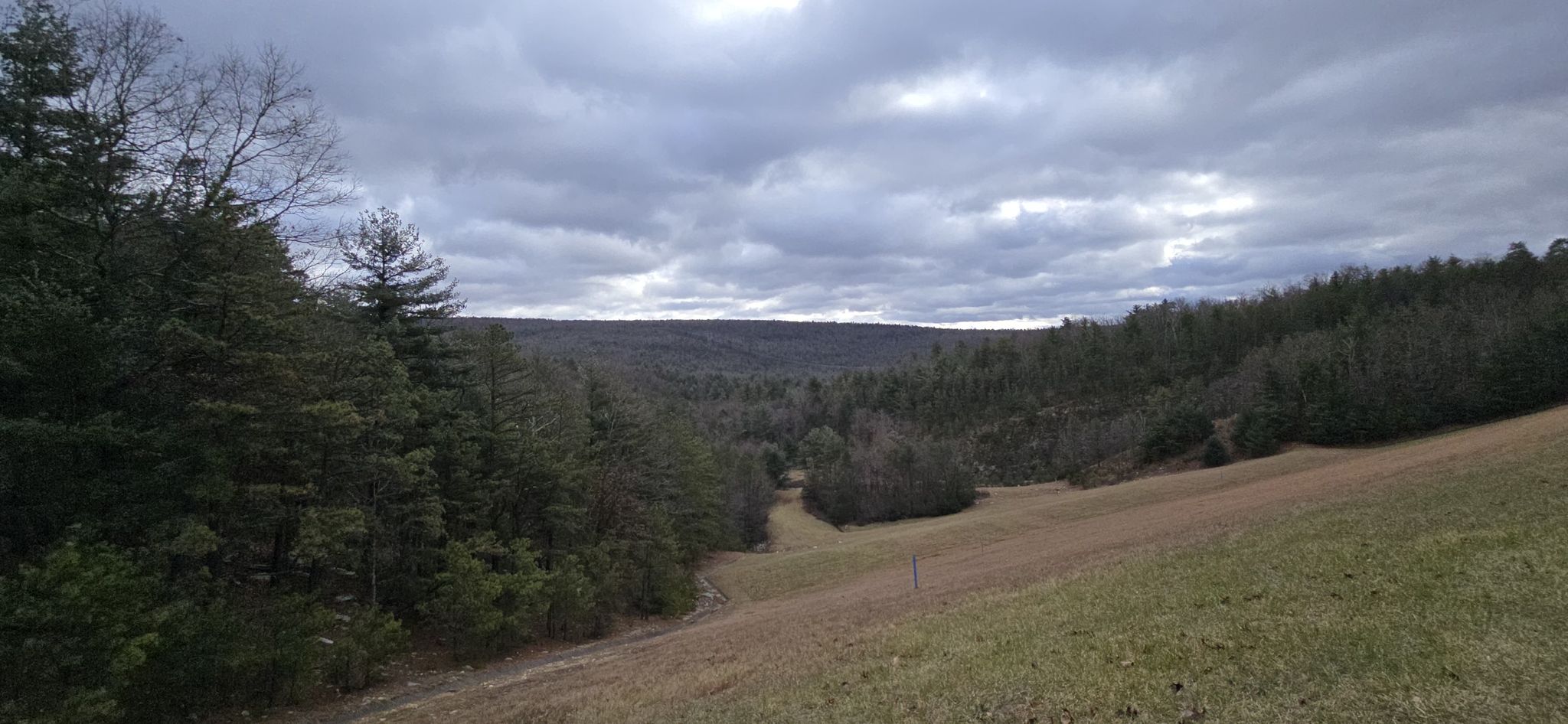 Overcast sky above a valley with dense forest and a grassy field. - Abigail Trail Loop