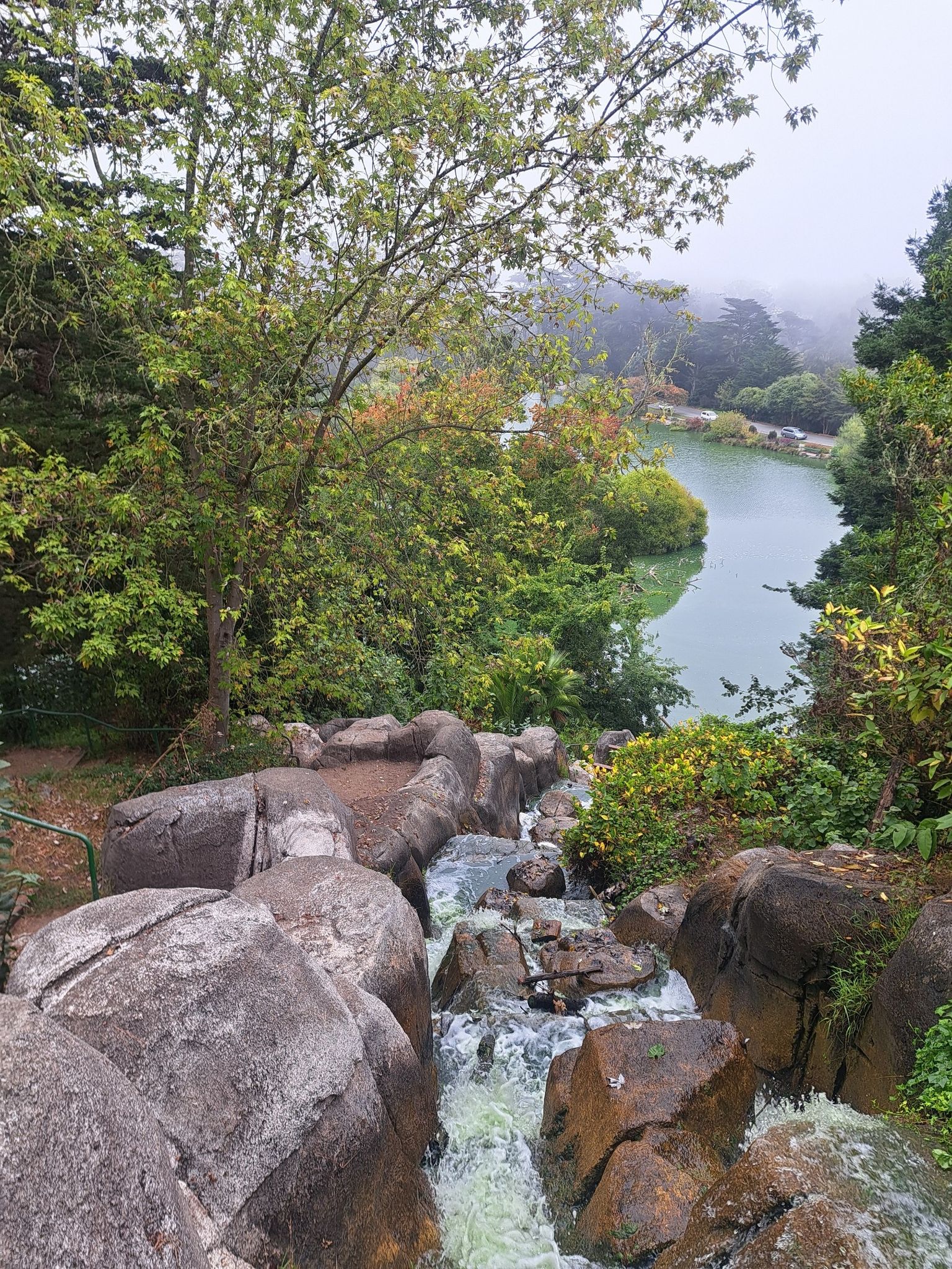 Waterfall flowing over rocks into a lake, surrounded by green trees on a foggy day. - Hippie Hill, Conservatory of Flowers, and Blue Heron Lake Loop