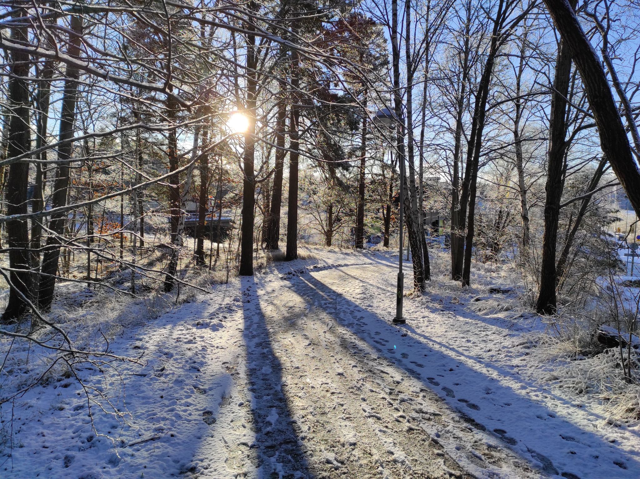 Even the sun is out today.