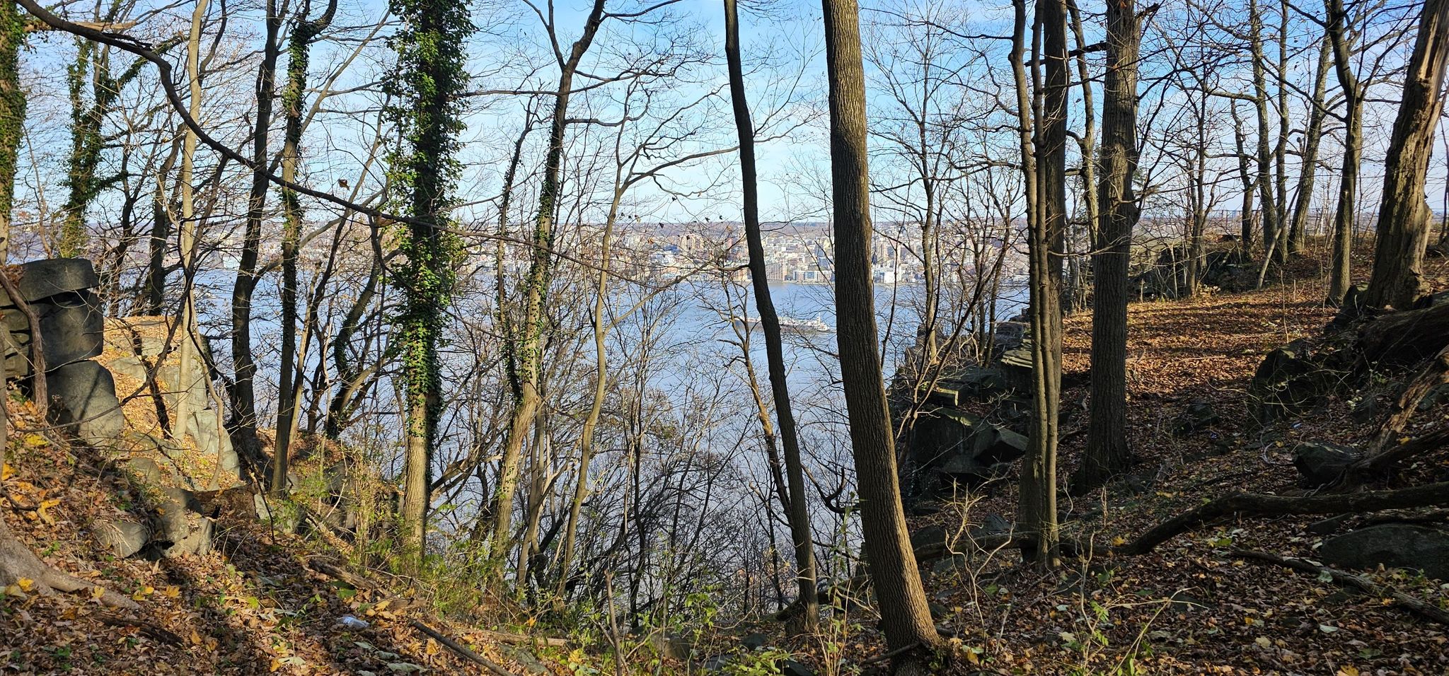 Forest of bare trees on a hillside overlooking a wide river and distant city. - Alpine Picnic Area loop from Alpine
