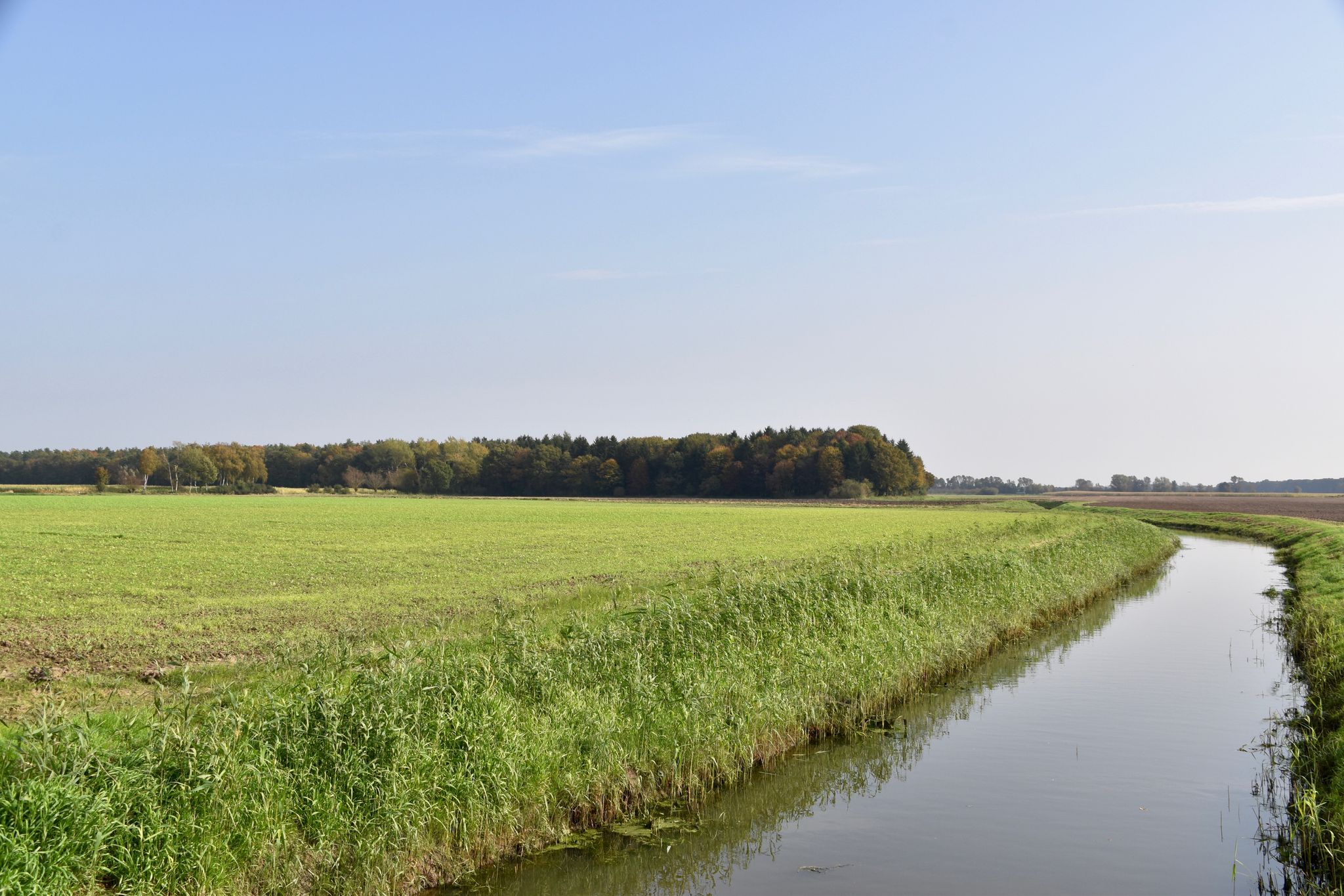 Ilau-Schneegraben