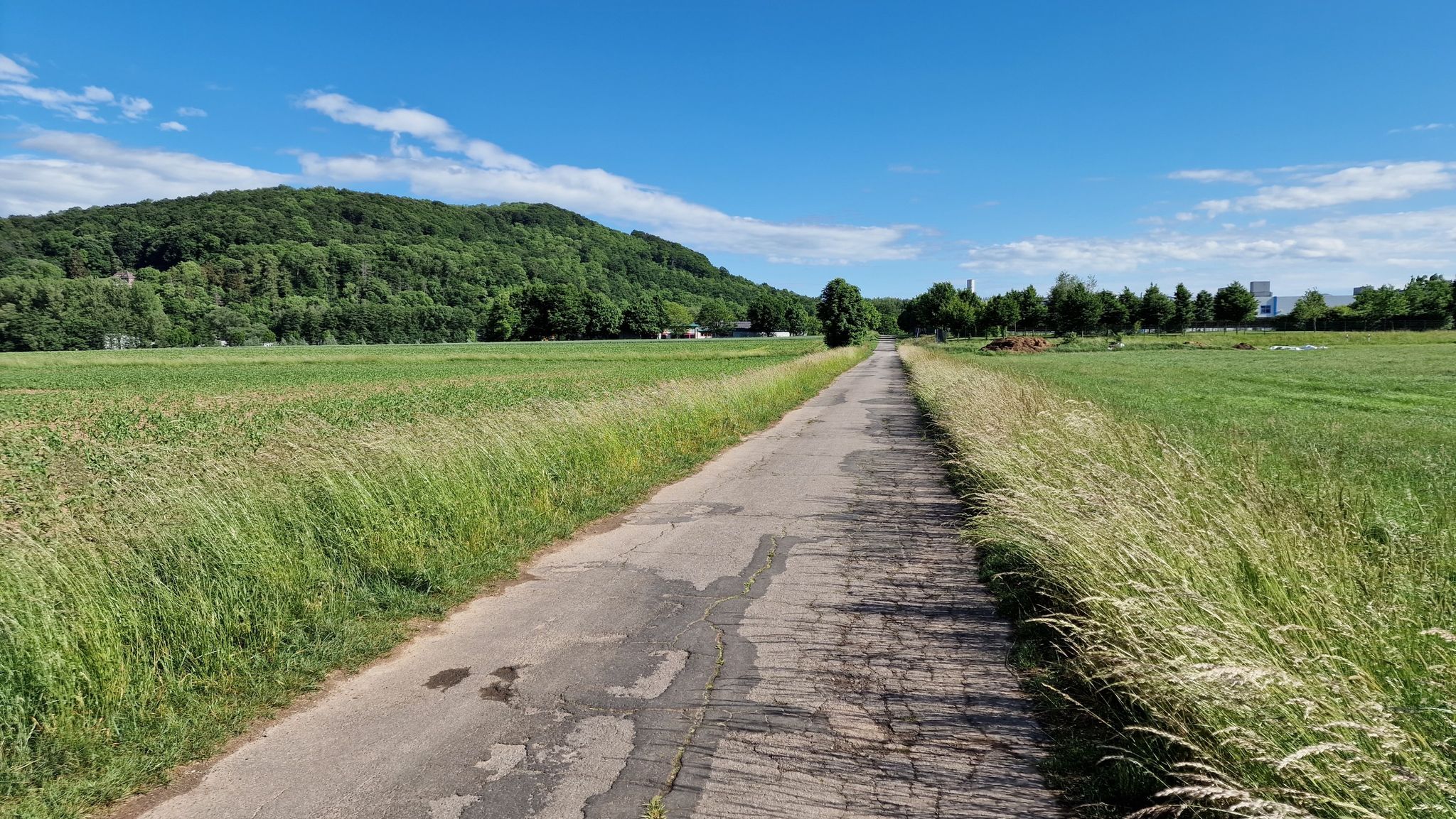Am Pfingstanger in Dassel