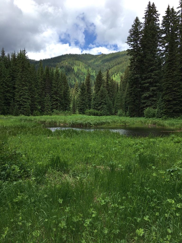 Lake Trail 