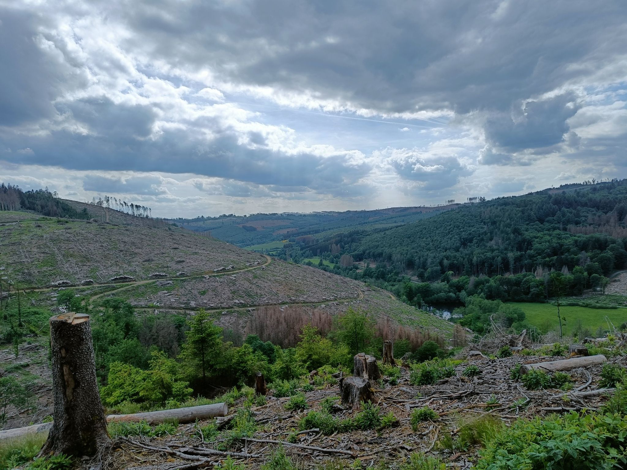 Ausblick über den unteren Dietzhölzweiher