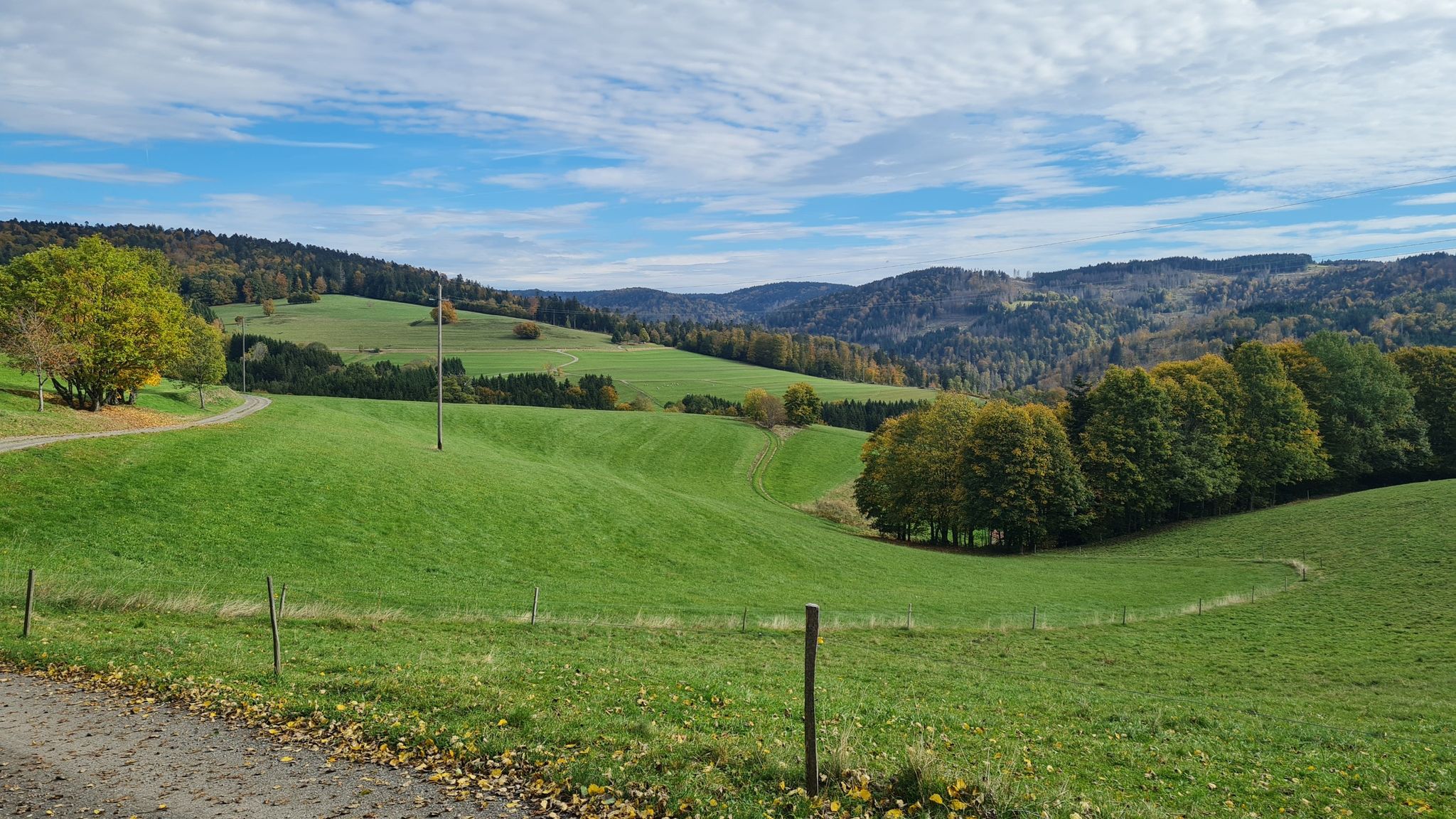 Wiese