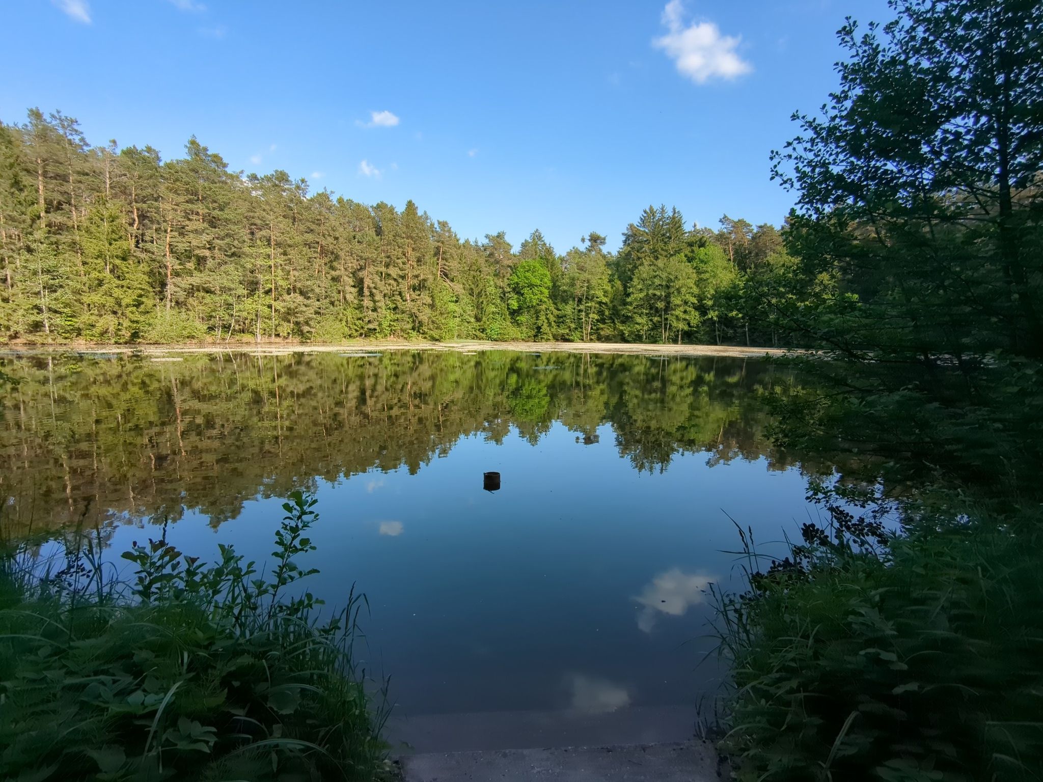 Walterweiher