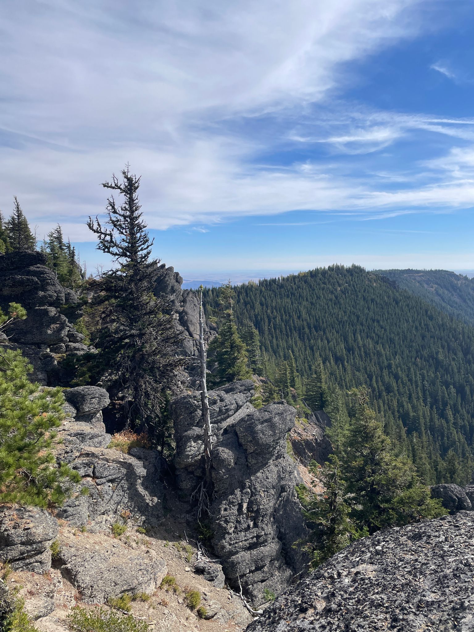Sunny view of rocky cliffs and dense evergreen forests under a blue sky. - Lookout Mountain via Divide Trail #458