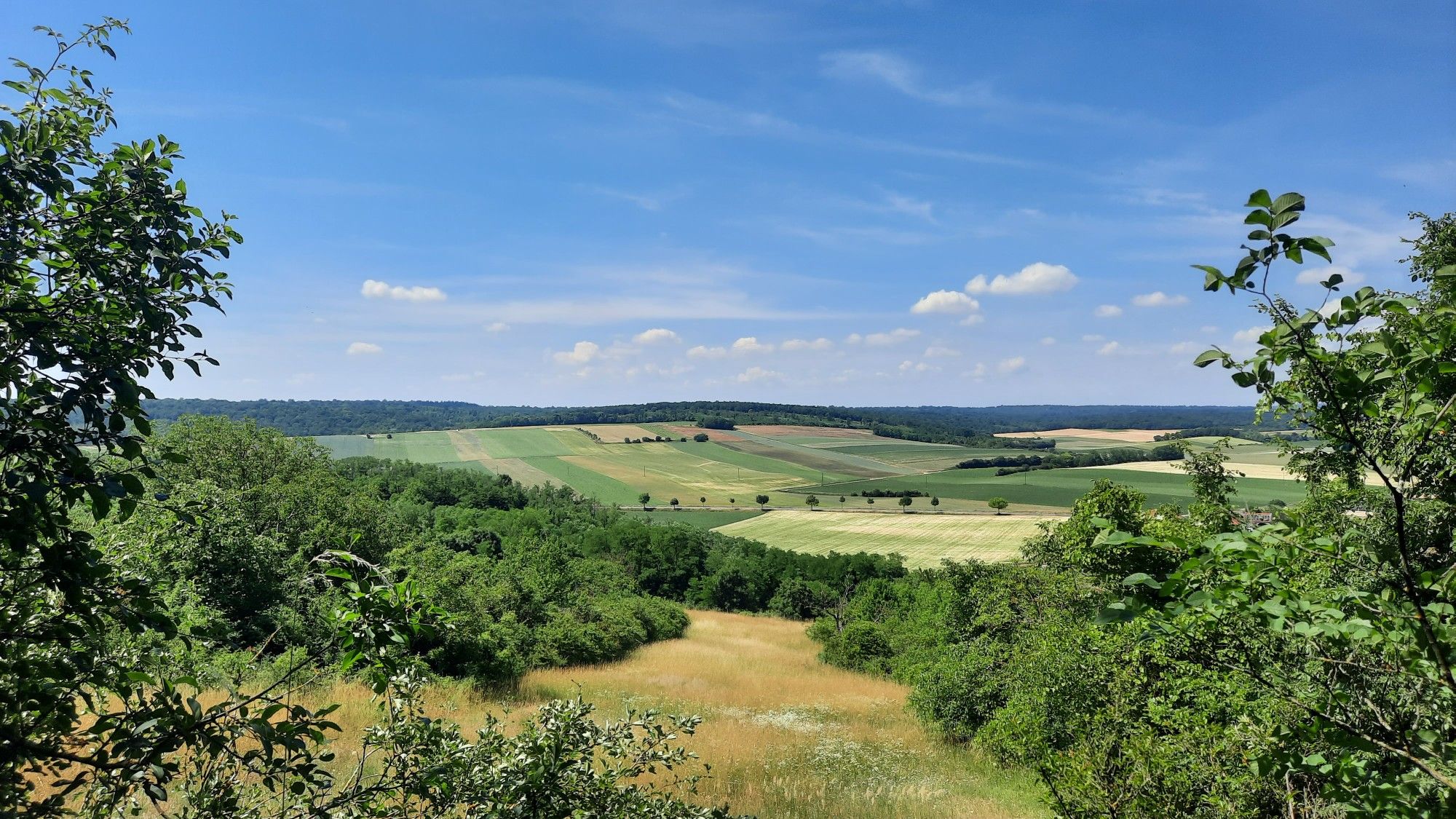 Blick ins Land