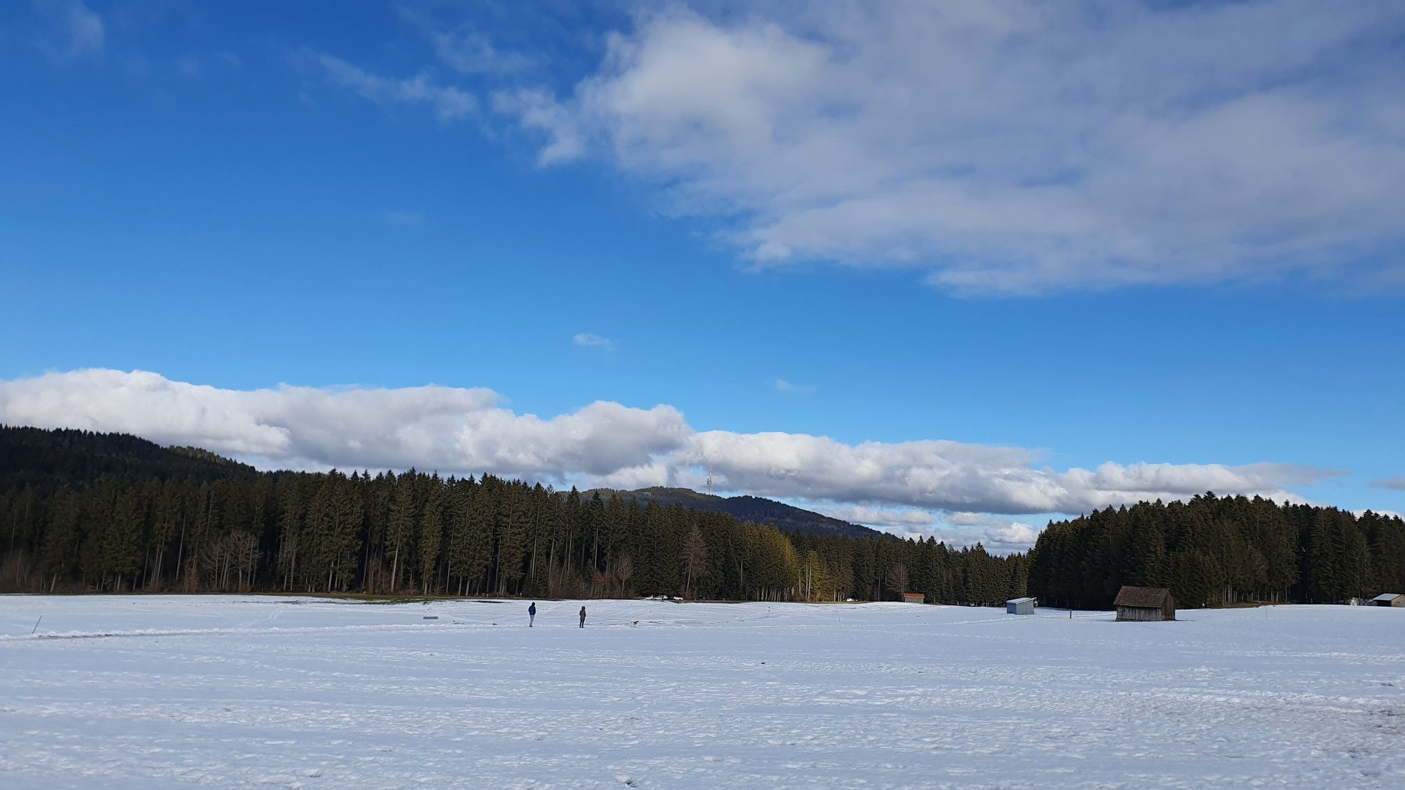 Vue sur le Gibloux