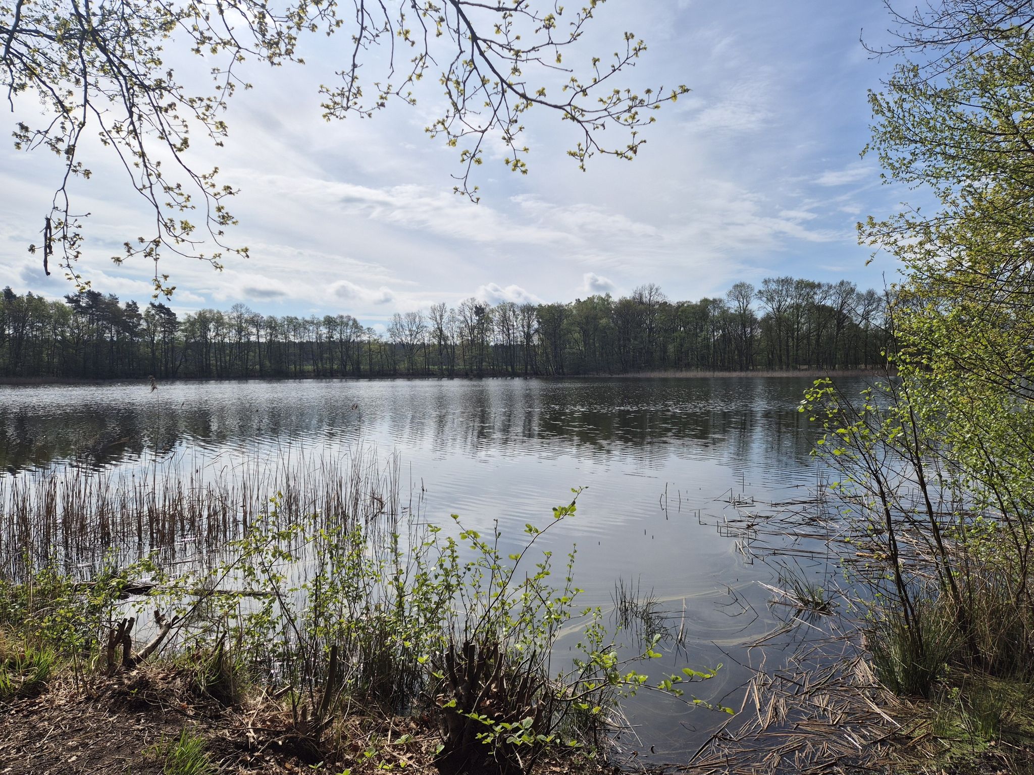 Langer See