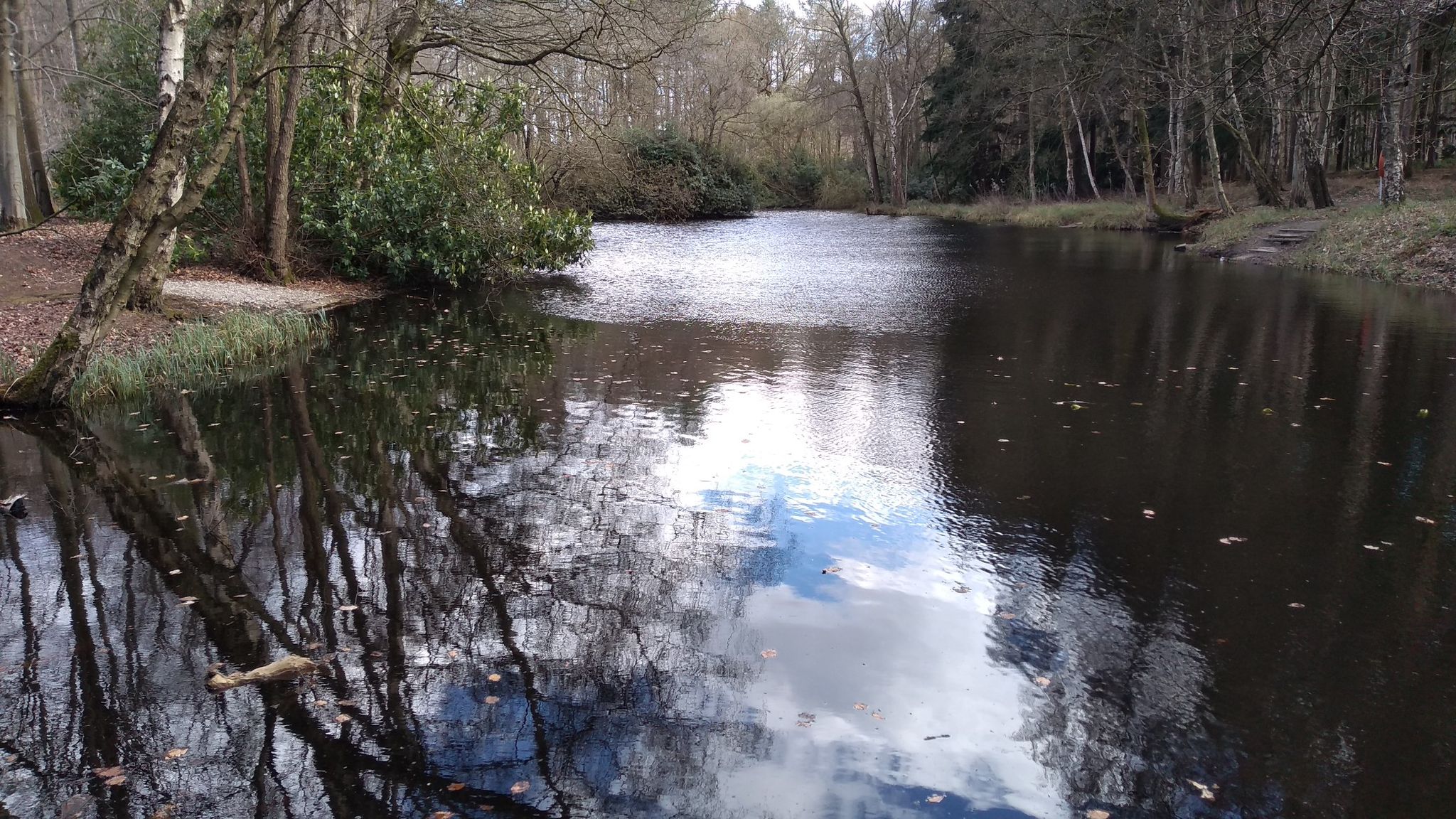 pond