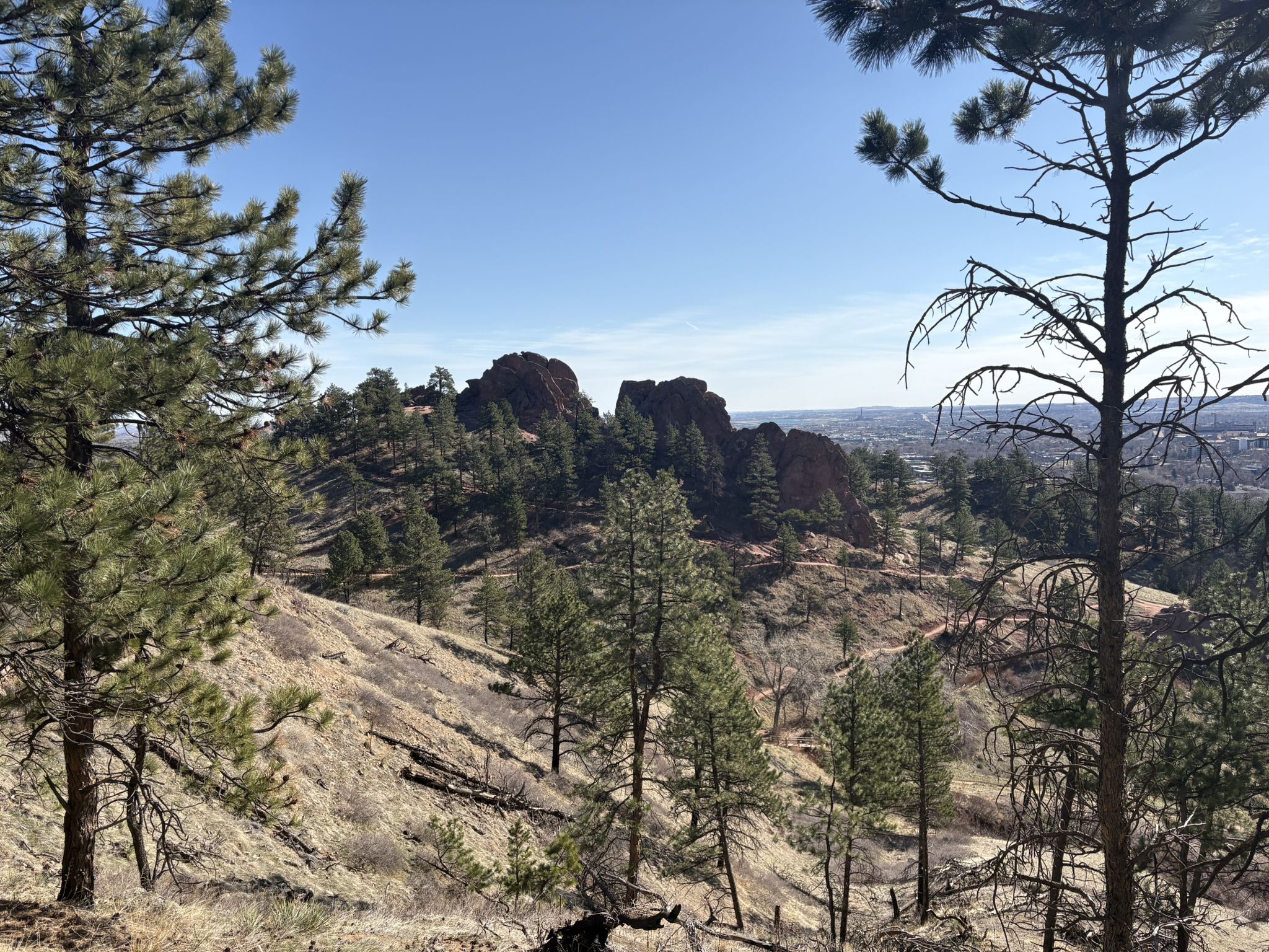 Pine trees frame a view of reddish rock formations and a distant valley. - Boulder Creek Trail – Anemone Point Viewpoint loop from Boulder