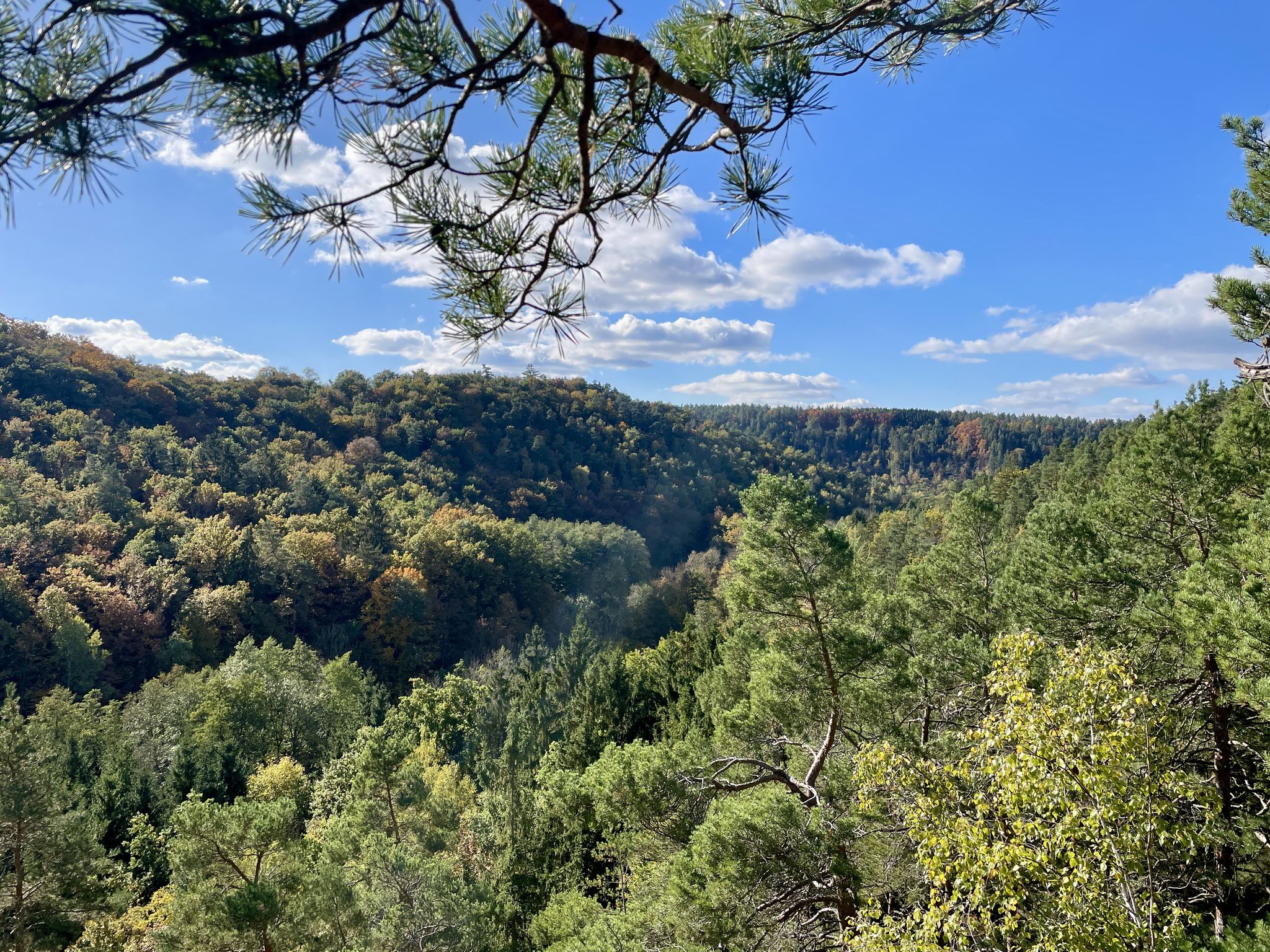 Blick vom Geyer - Stein ins Fuchsbachtal