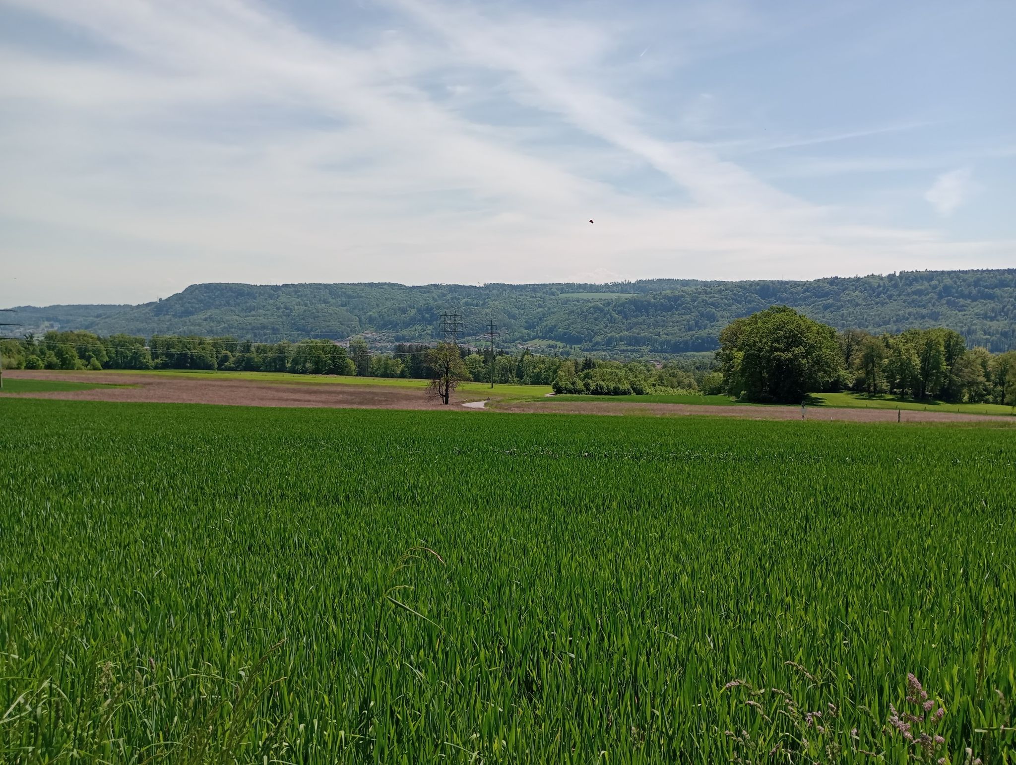 Schachen/Albbruck