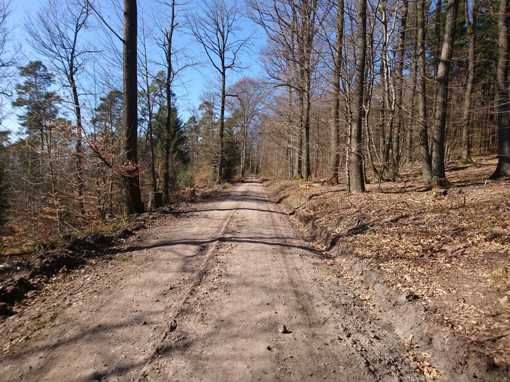 Forstautobahn zum Adlerstein 