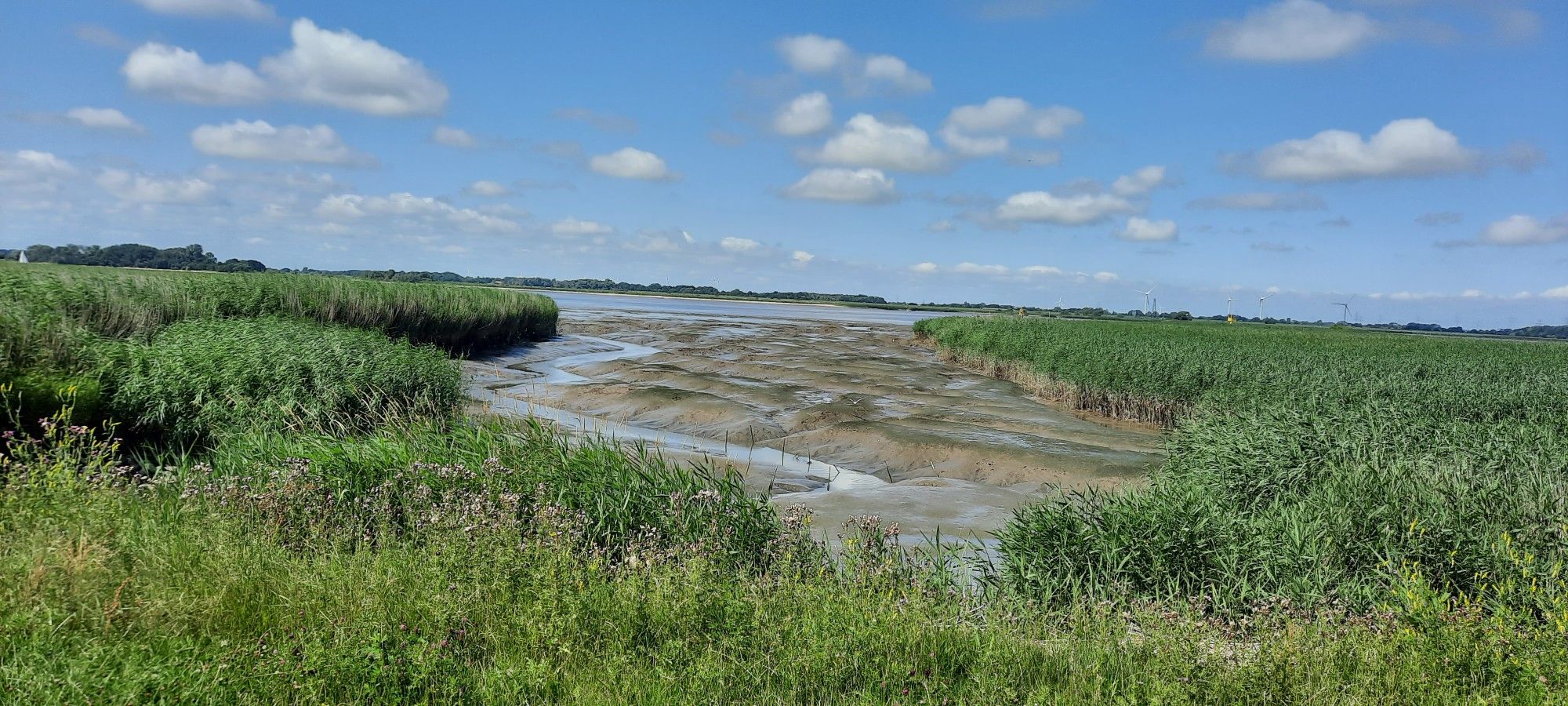 Man hat das Wasser geklaut