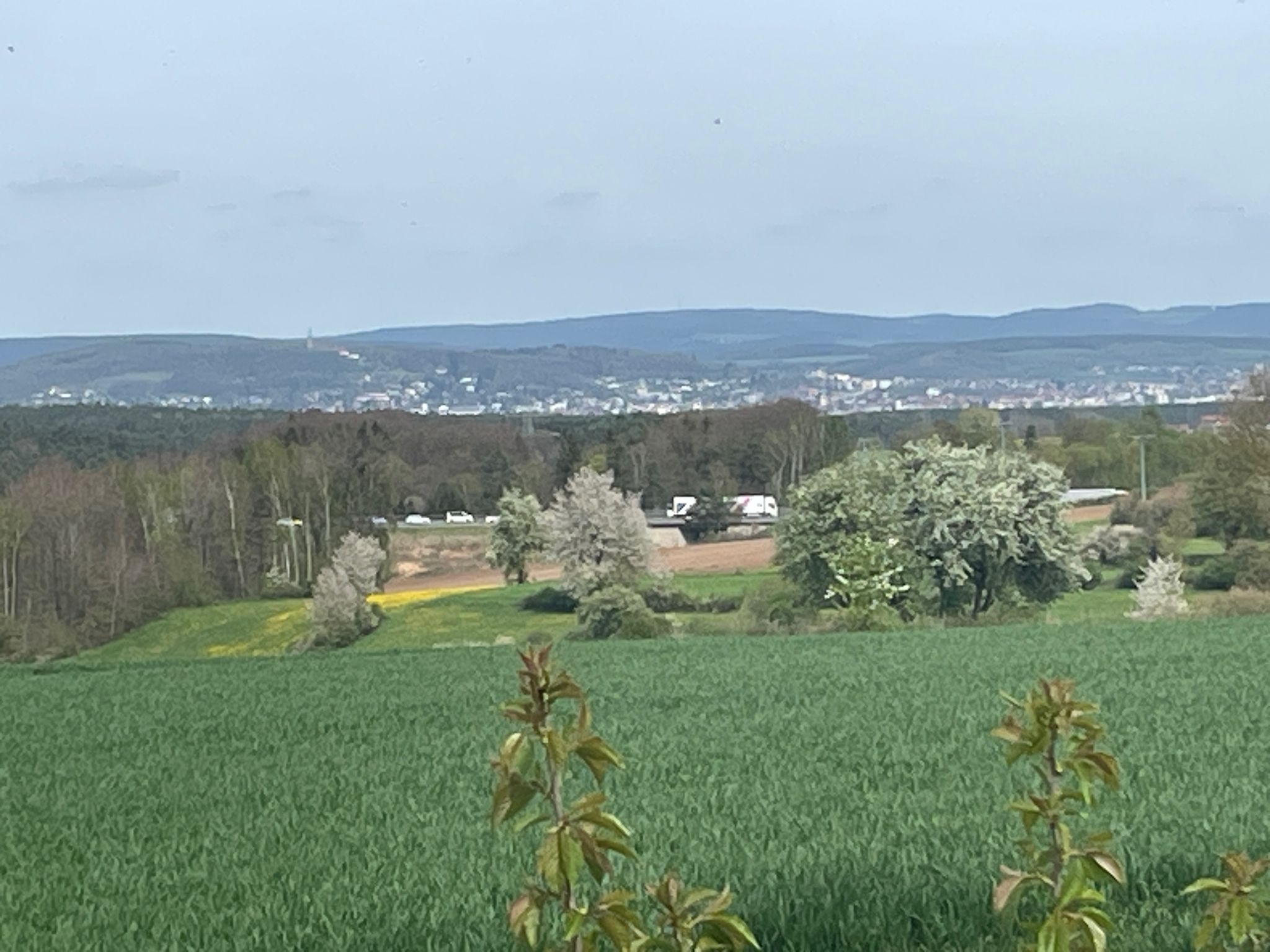 Blick auf Amberg