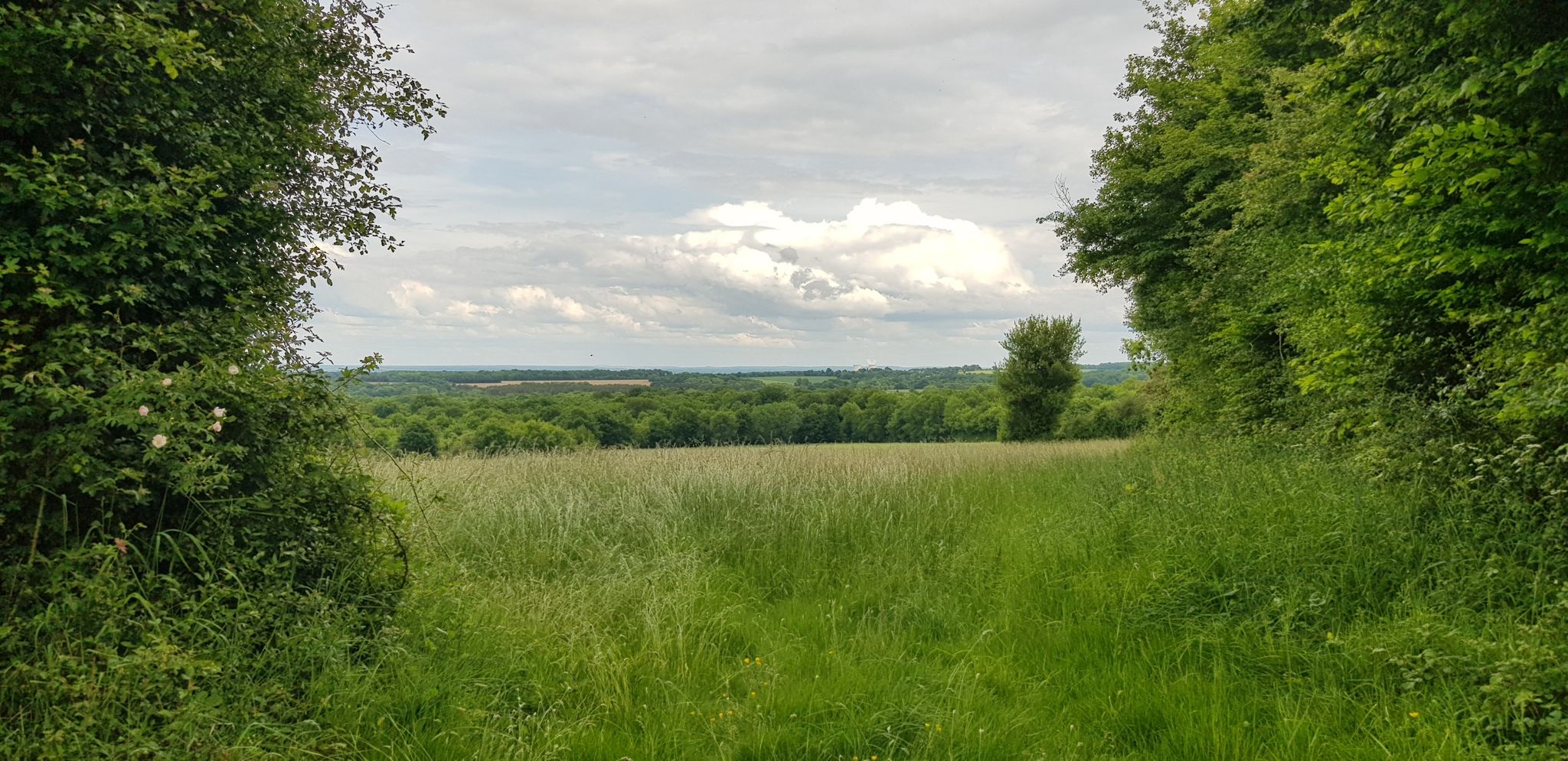 au loin la centrale de Belleville-sur-Loire