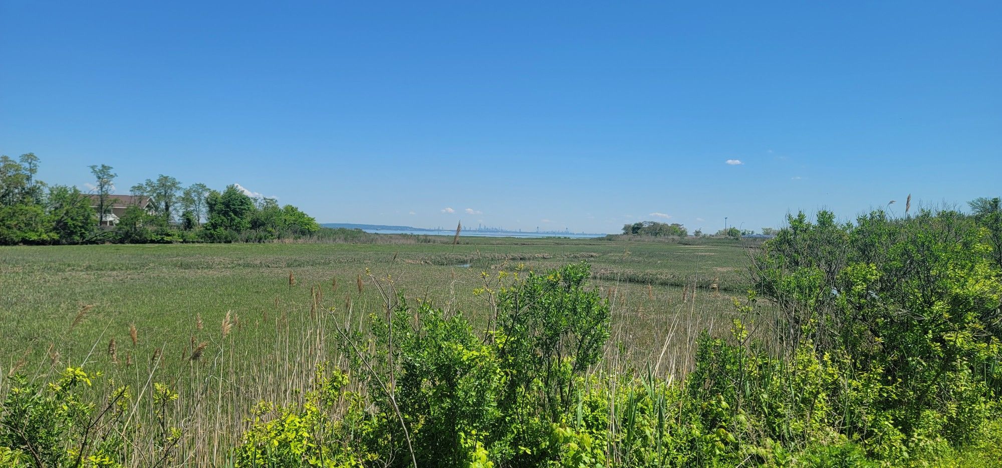 Expansive green marshland under a bright blue sky, with distant water. - Henry Hudson Trail