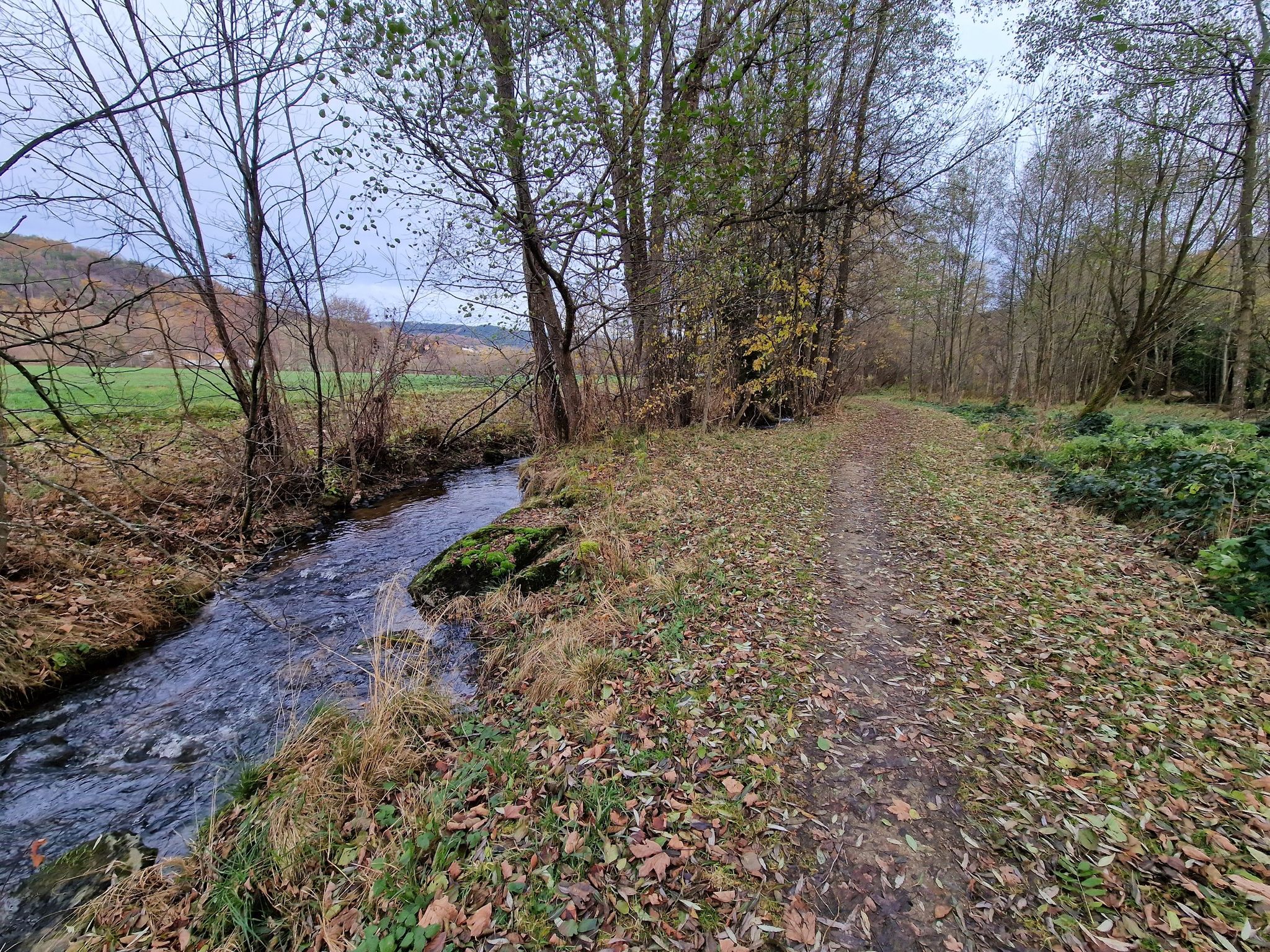 Schöner Weg, dem Laimbach entlang…
