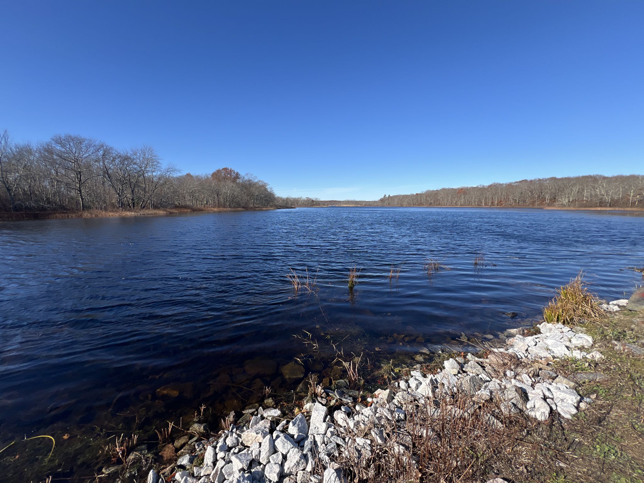 Wide lake under clear blue sky, rocky bank, distant trees. - Ryan Park Trails – Belleville Pond loop from Wickford Junction