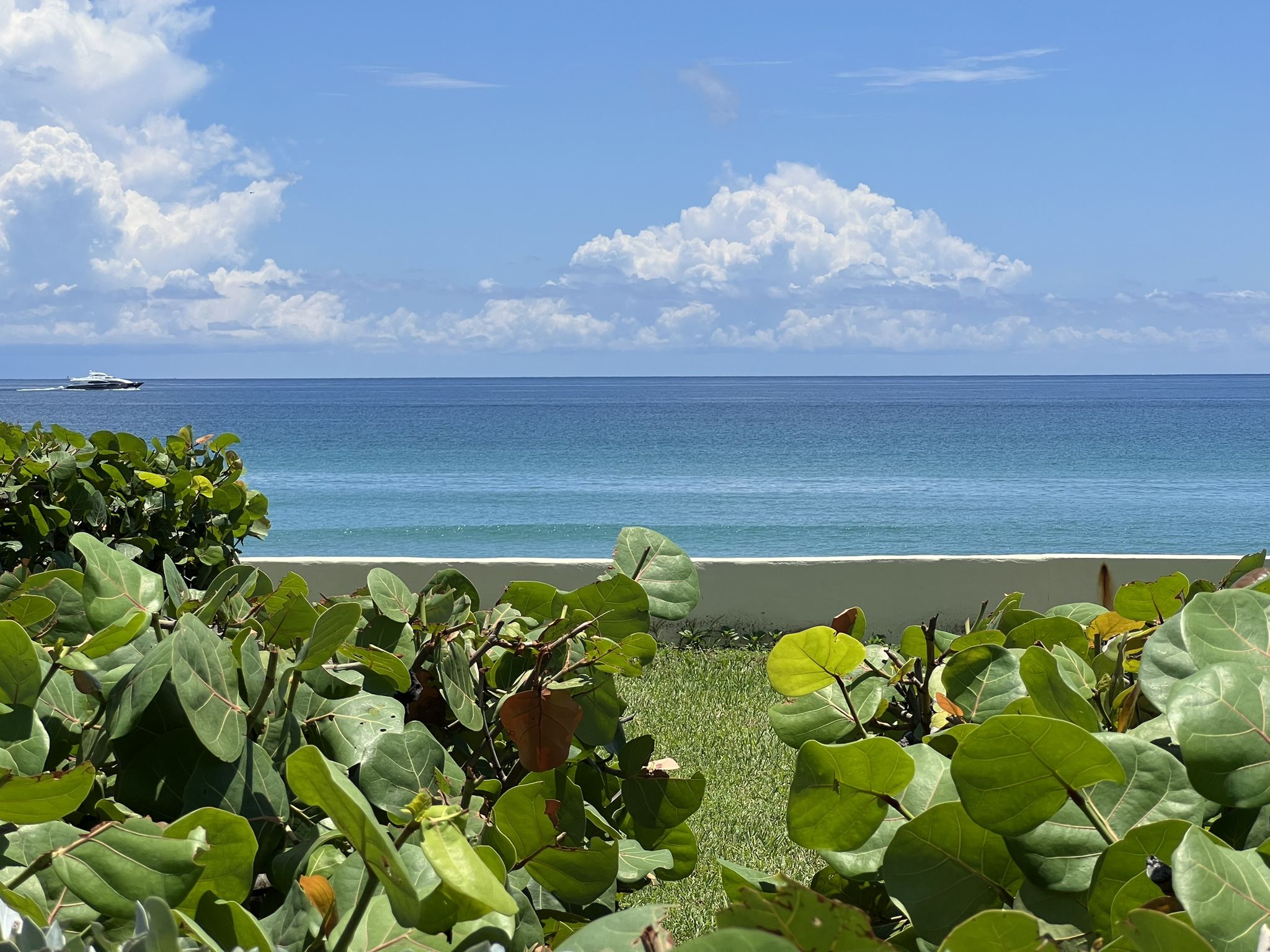 Lush green foliage framing a calm blue ocean under a bright sky. - Lake Trail – North Ocean Boulevard loop from West Palm Beach