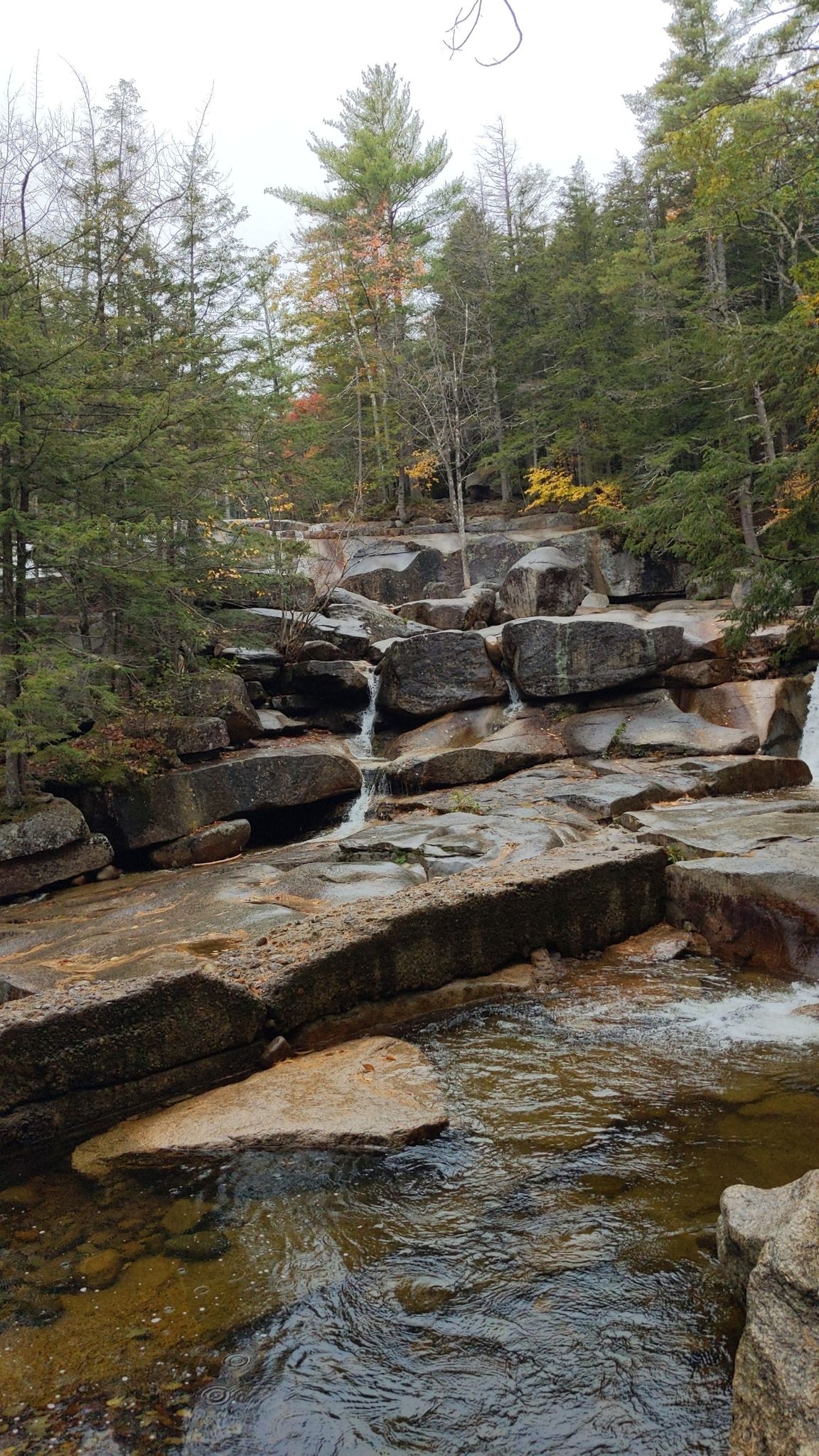 A river cascades over rocky steps through a forest with autumn colors. - Diana's Bath Trail