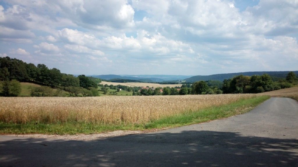 Blick vom Fuchsbaum in Richtung Lichstedt.