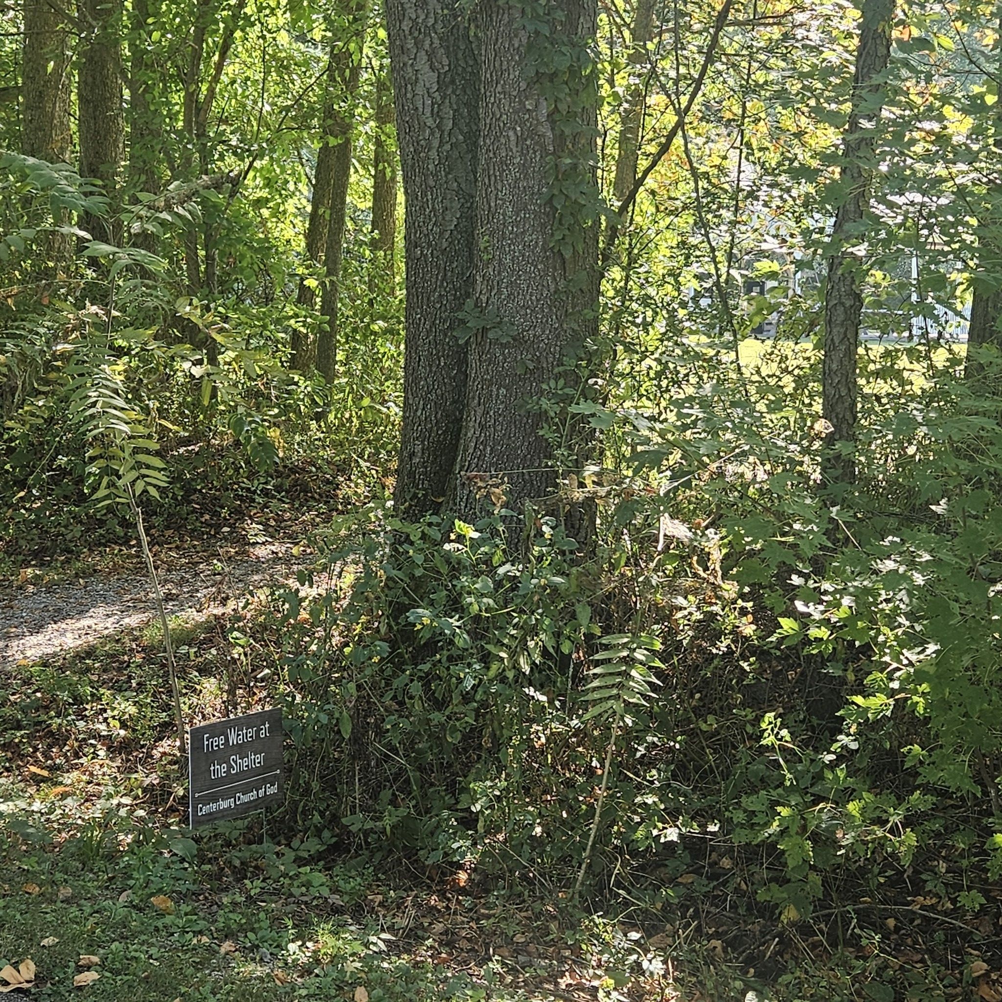 A small sign in a sun-dappled forest, next to a large tree trunk. - Heart of Ohio Trail