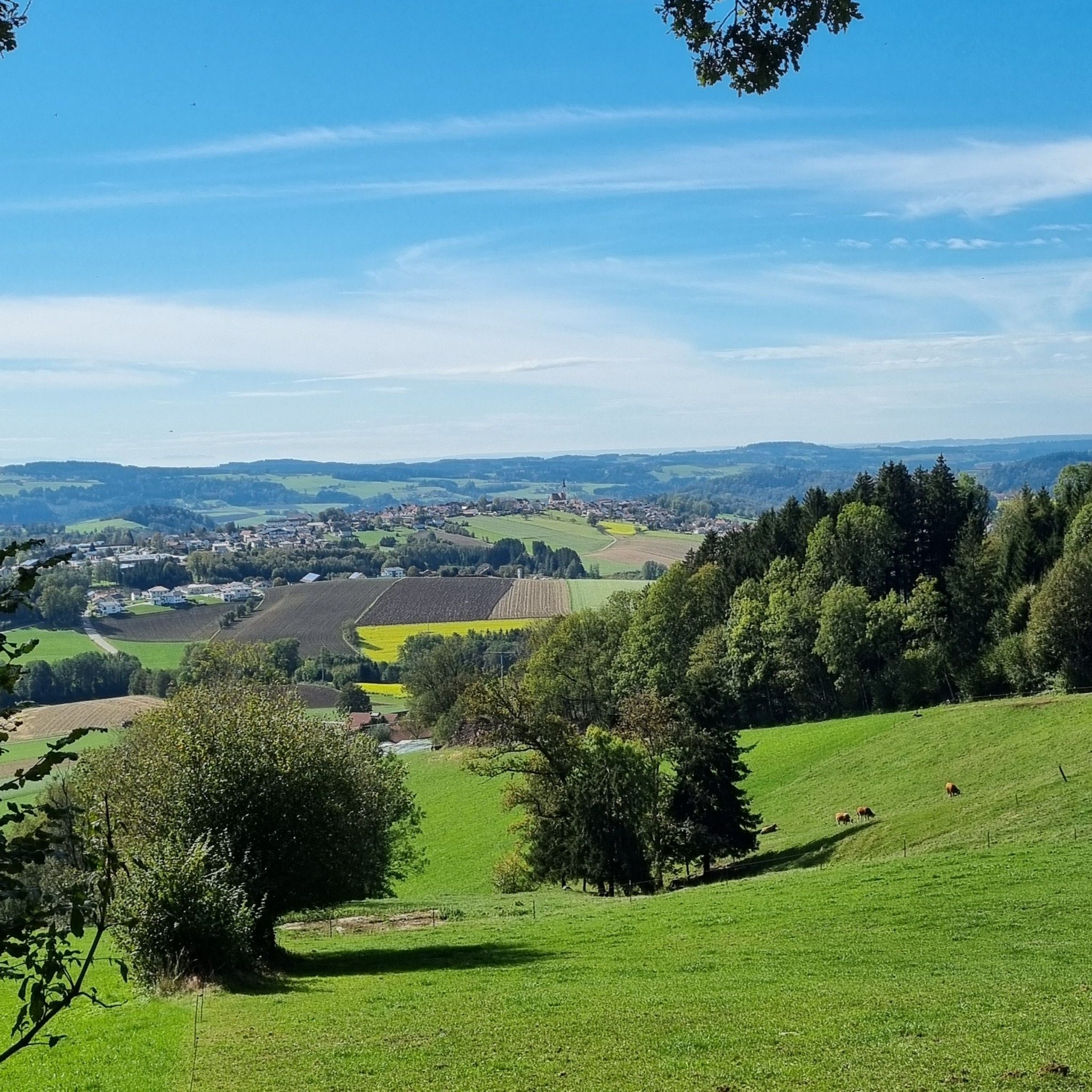 Untergriesbach