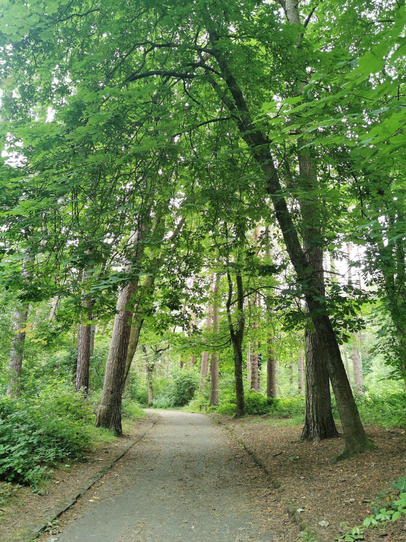 On to Pollok Park