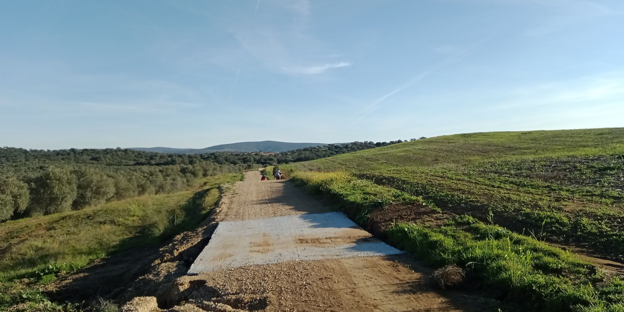 camino Santiago