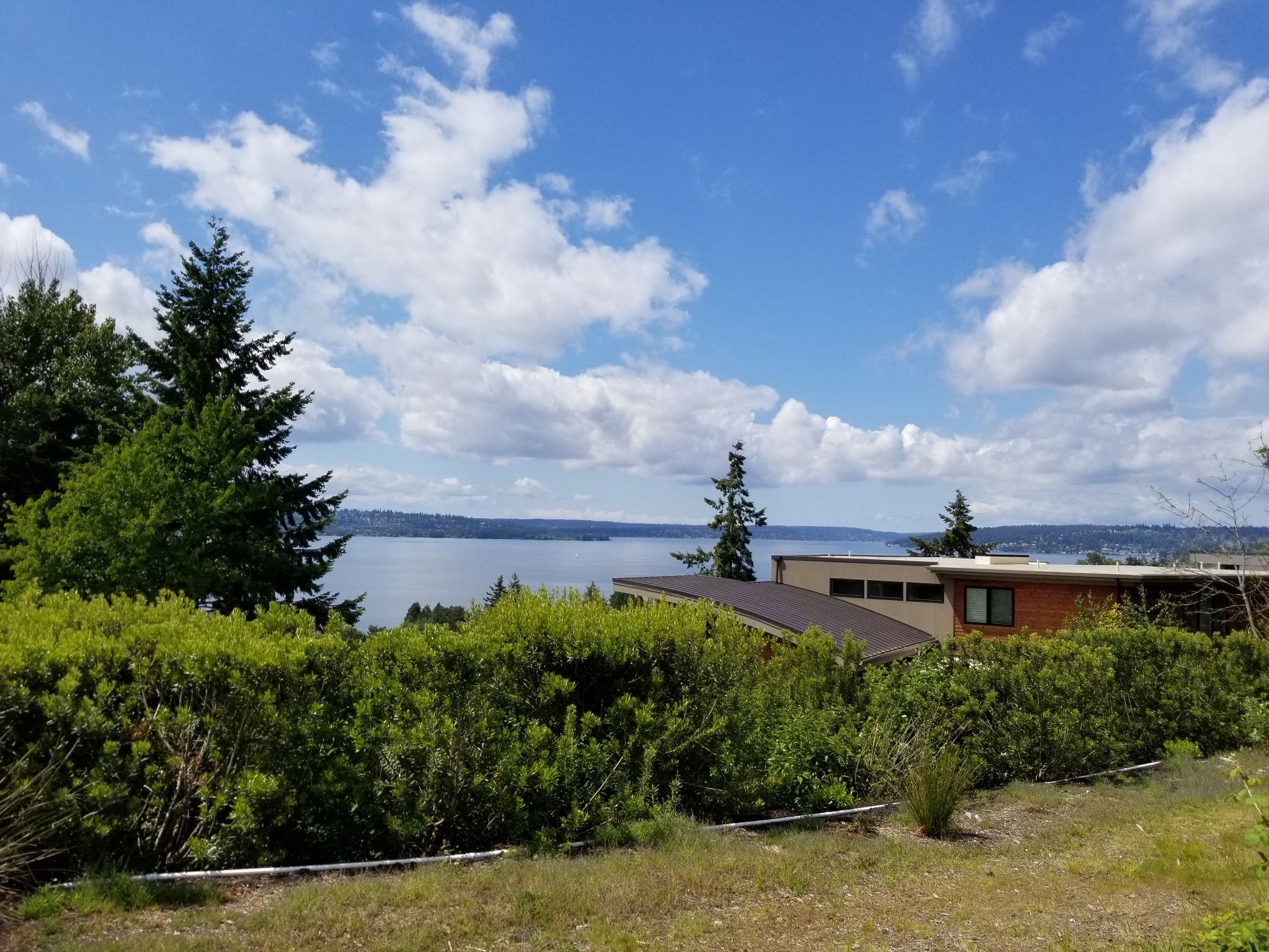 Sunny view of a large lake with houses and lush green trees. - Cross Kirkland Corridor