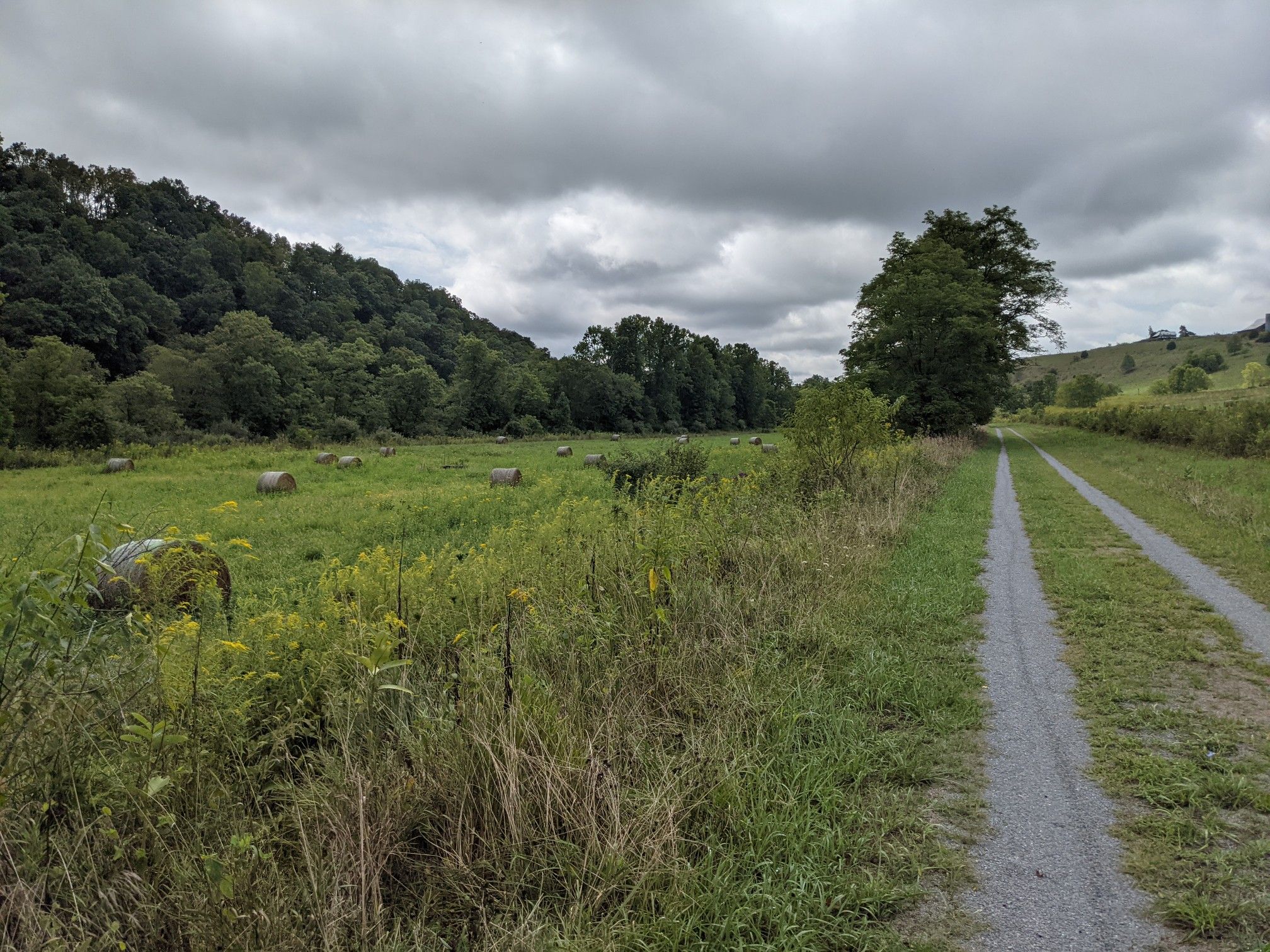 Grassy field with hay bales next to a gravel path under cloudy sky. - Greenbrier River Trail
