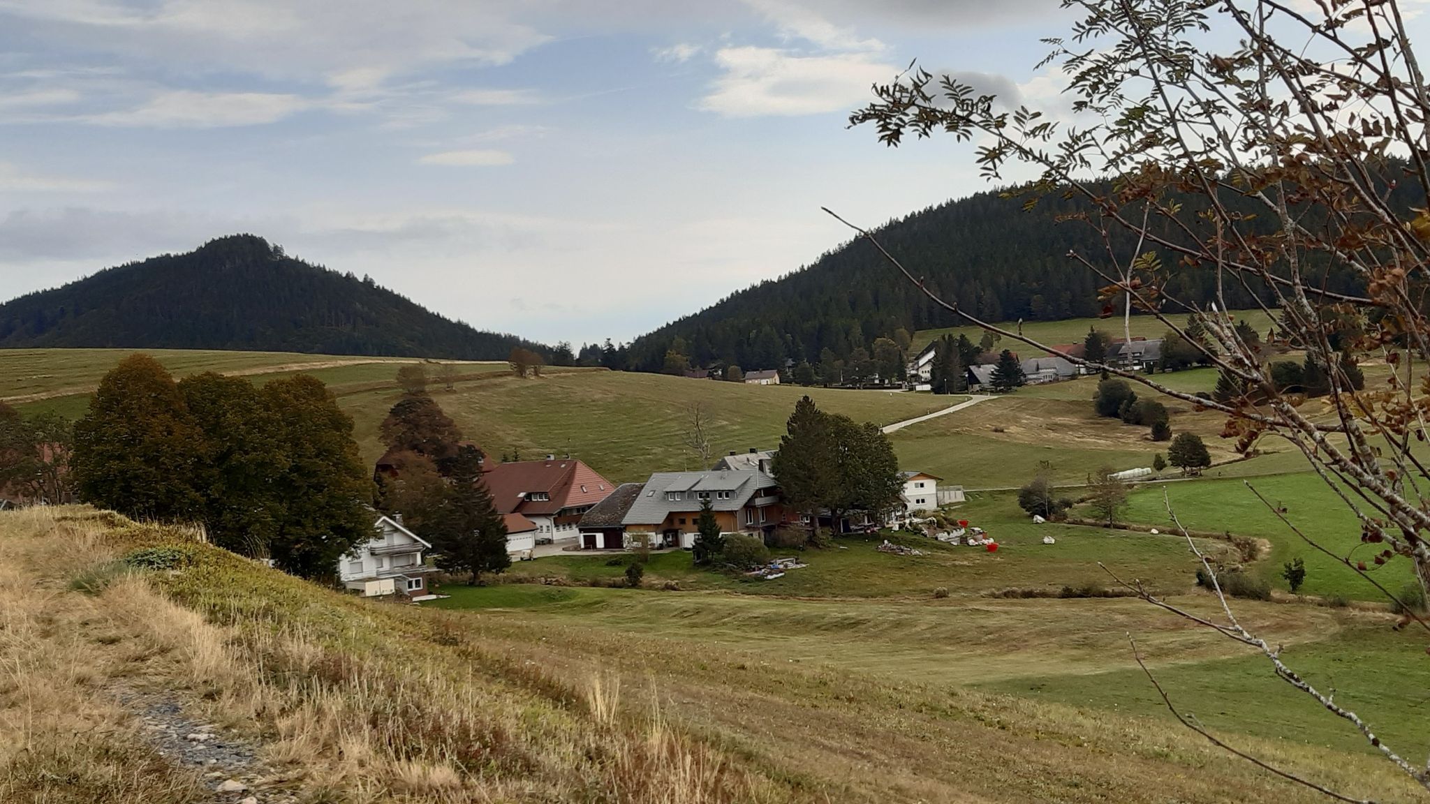 Herrenschwand 