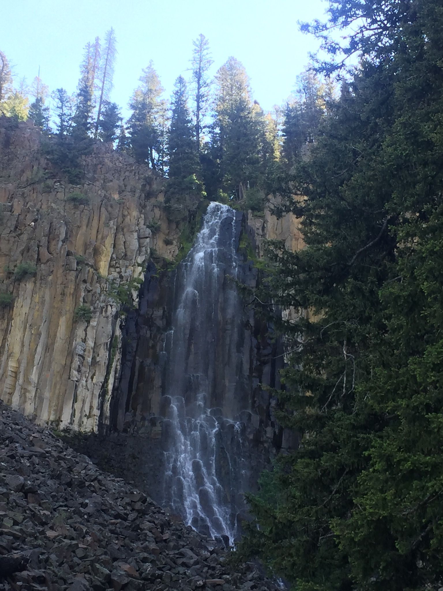 Tall waterfall cascades down a dark, rocky cliff with evergreen trees. - Palisade Falls Hiking Trail