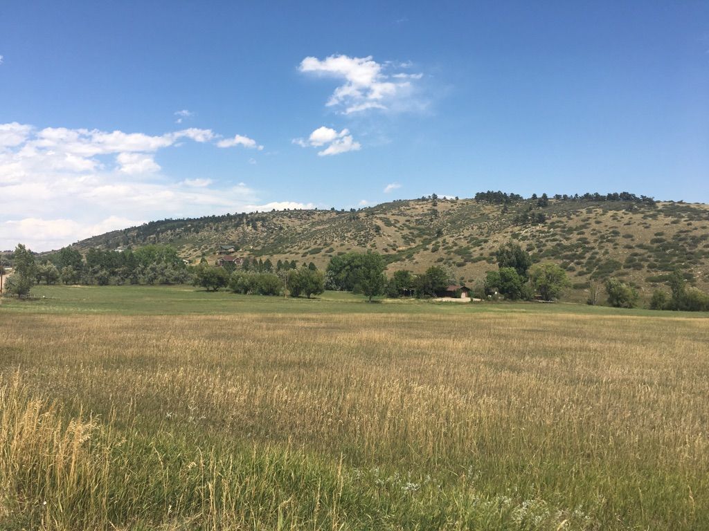 Sunny day over a wide grassy field leading to tree-covered hills. - Indian Mesa Trail