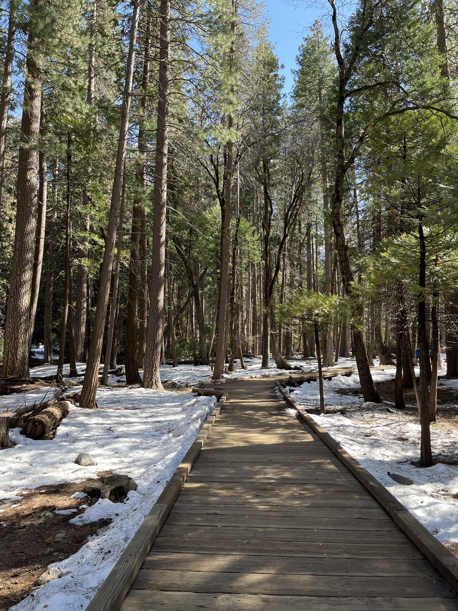 Wooden boardwalk through a snowy forest under bright sunlight. - Lower Yosemite Fall Trail