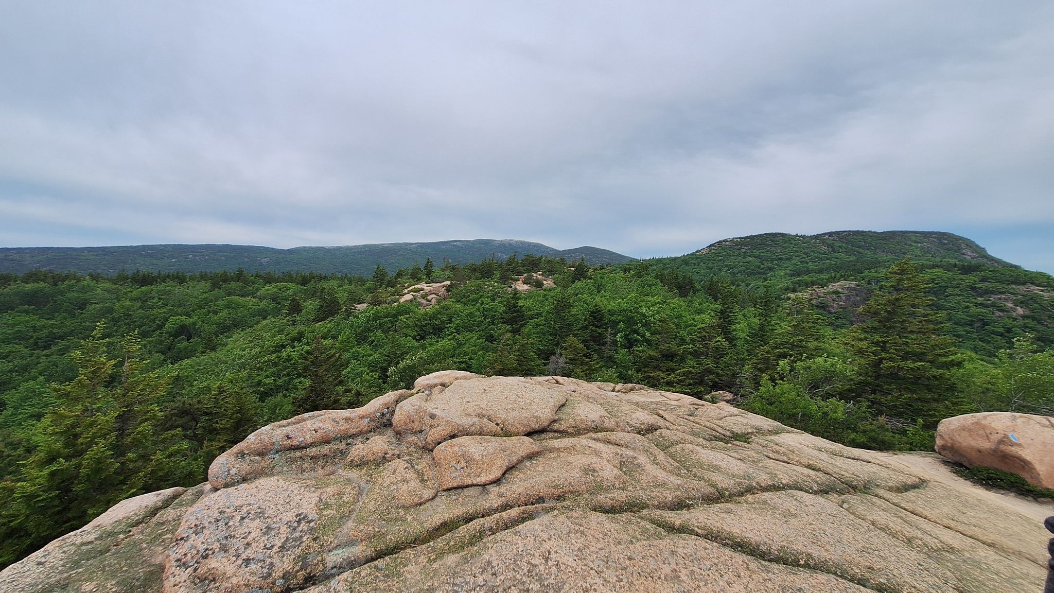 Rocky foreground, green forested mountains under a cloudy sky. - Gorham Mountain and Beehive Loop Trail