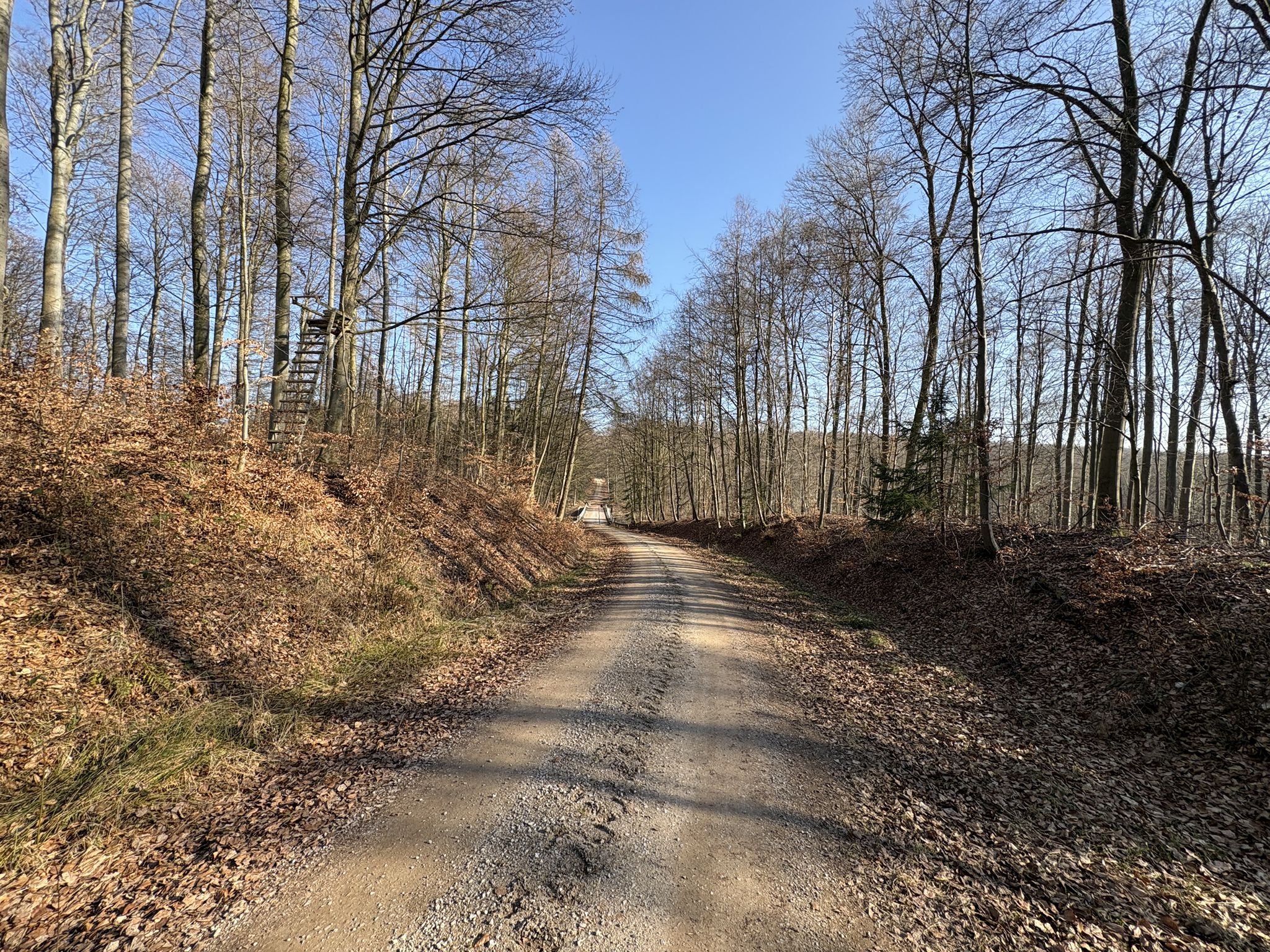 Fastweg vor der Willi Barke Brücke