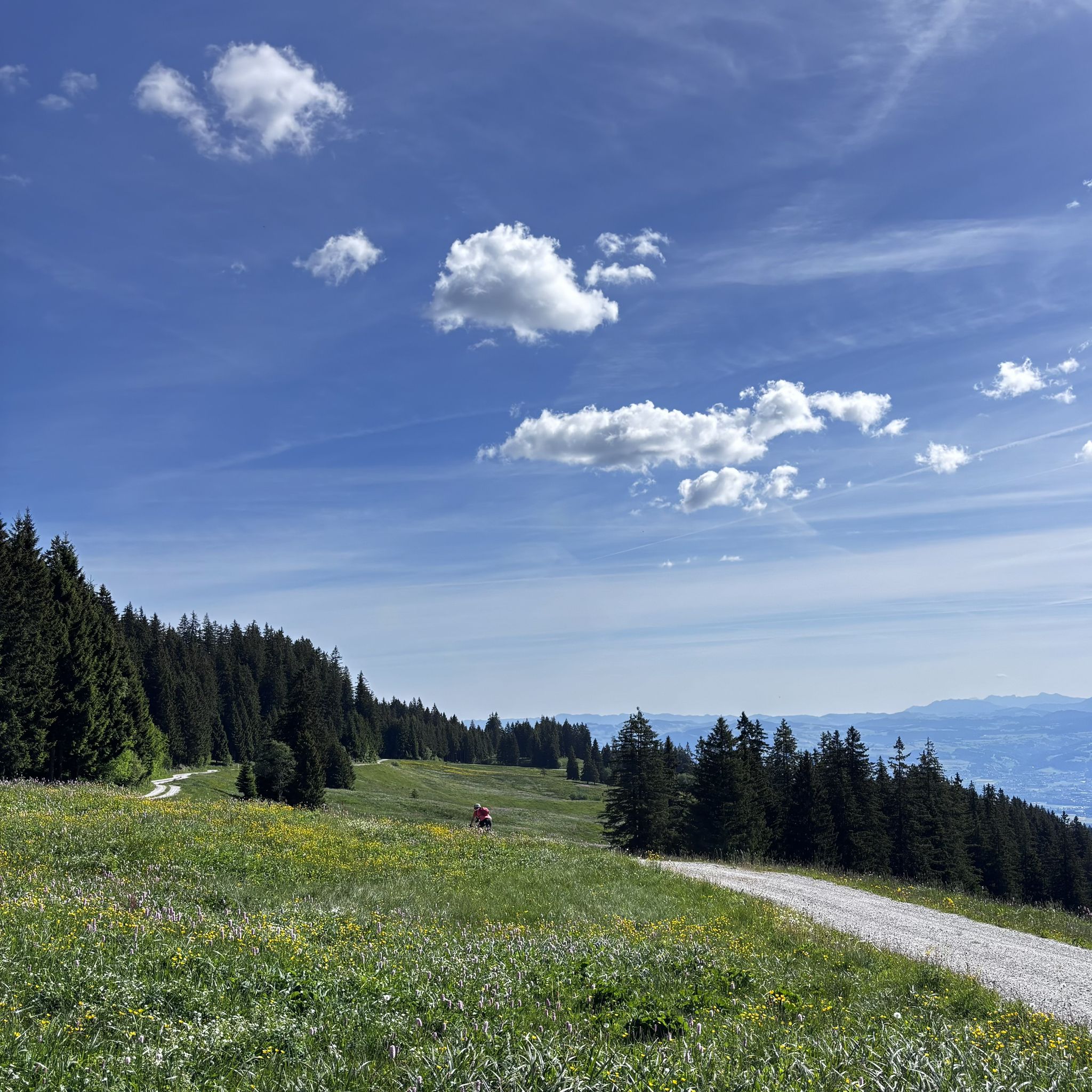 Oberhalb Thun & Thunersee