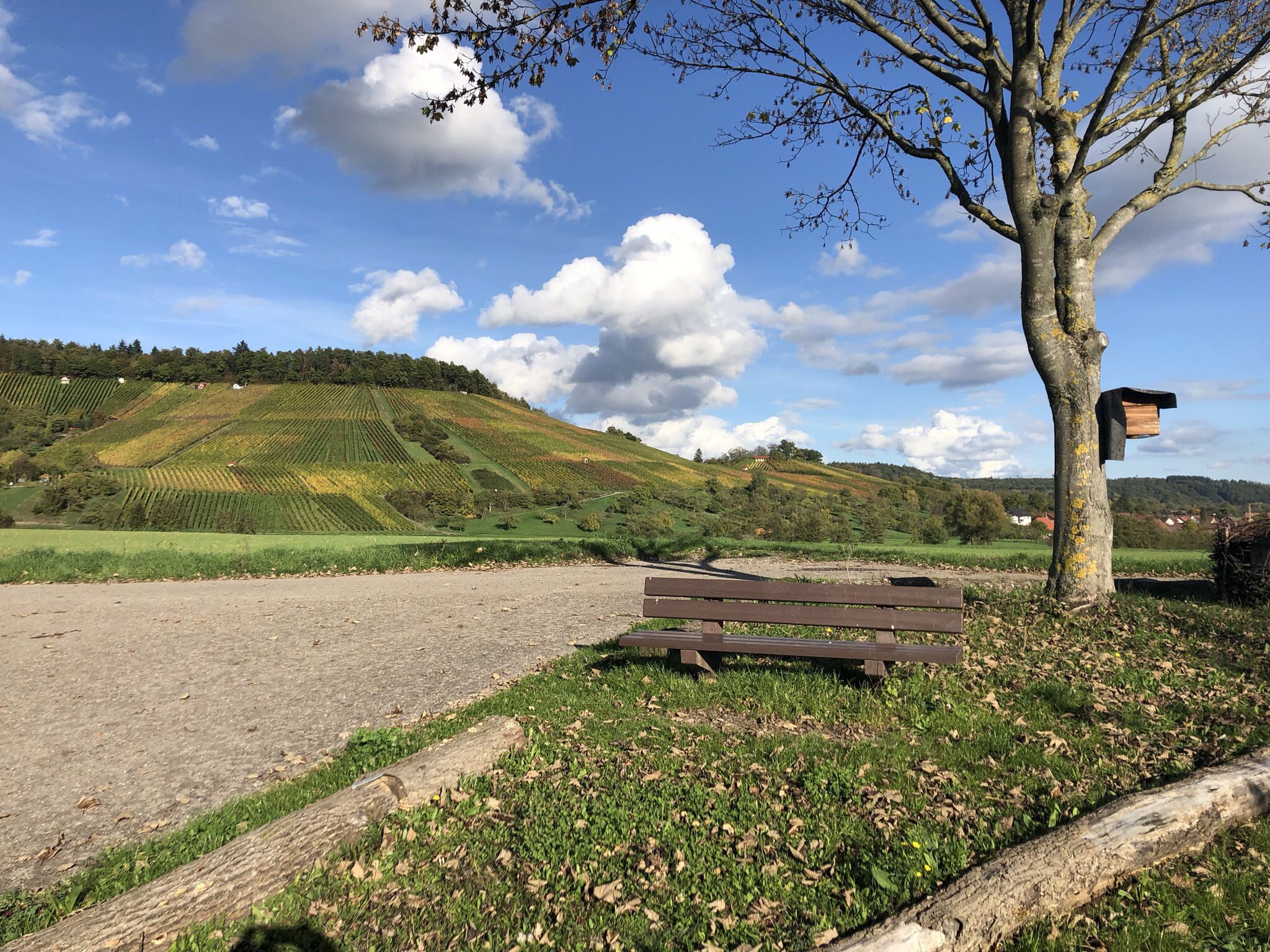 Zwischen Kleinaspach und Allmersbach am Weinberg mit Blick nach Ost