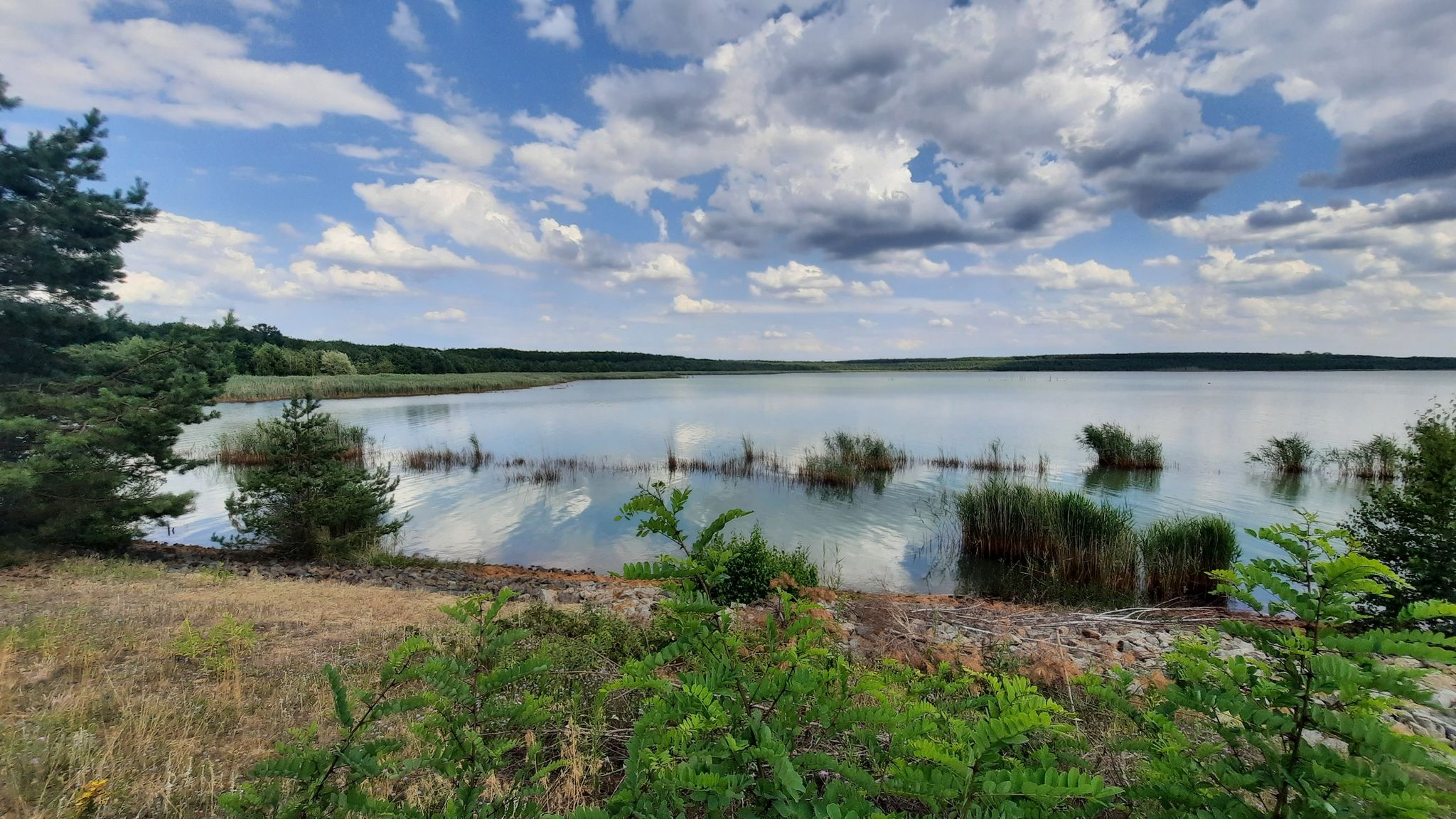 Bernsteinsee am Wehr bei Burghammer