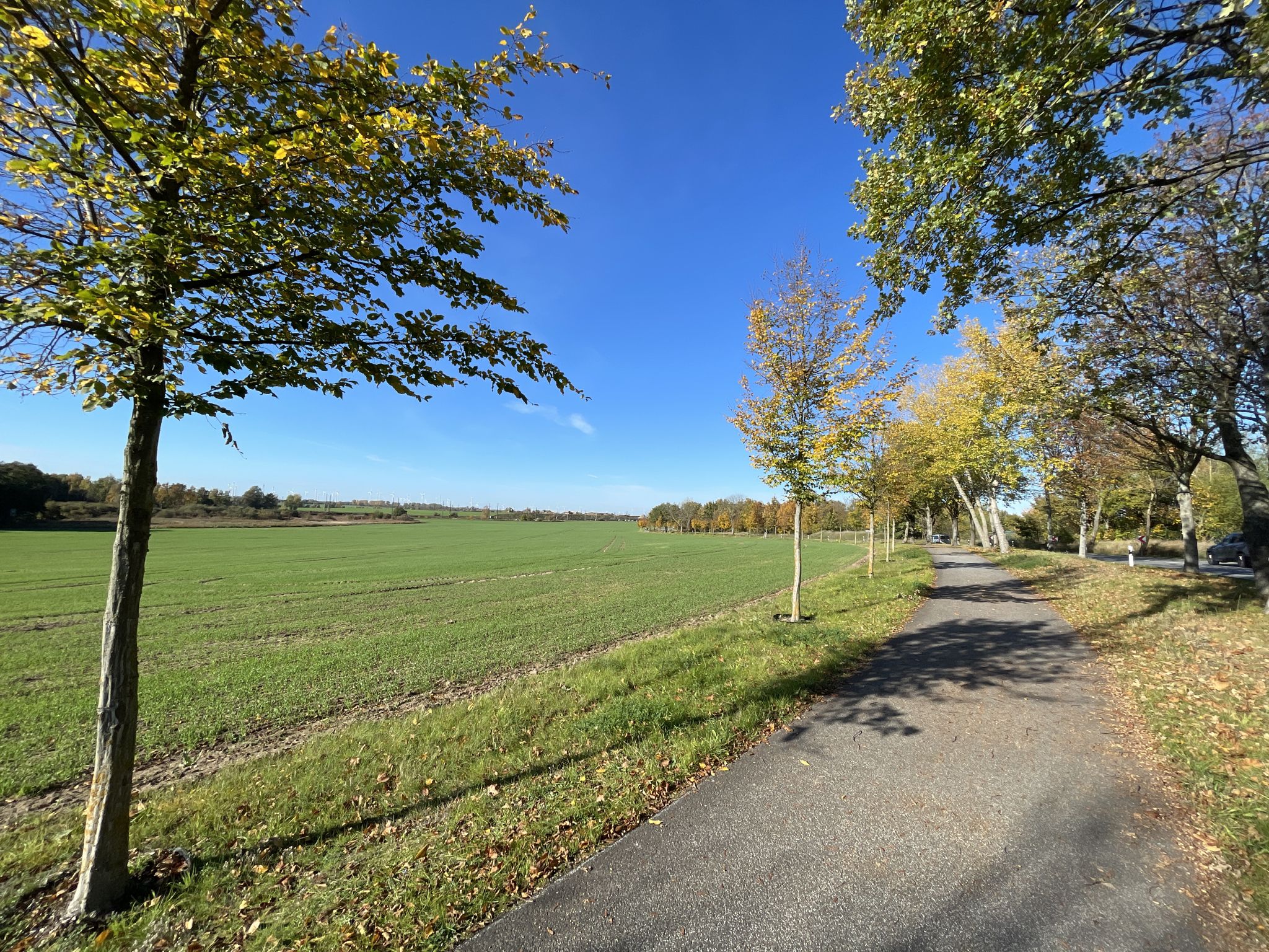 Zwischen Priort u. Elstal.